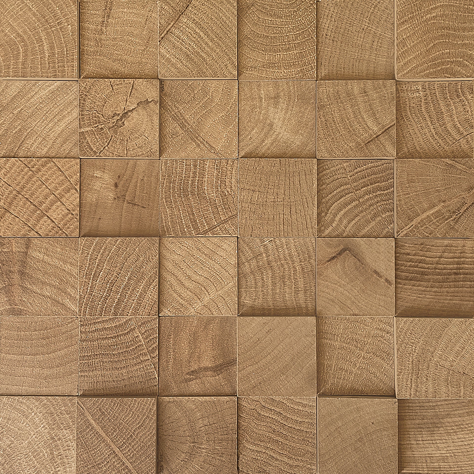 W-Circles Walnut porcelain mosaic tile by Emil, naturale finish, 11 13/16"x11 13/16"x9-mm size. Premium Italian porcelain for floors and walls.