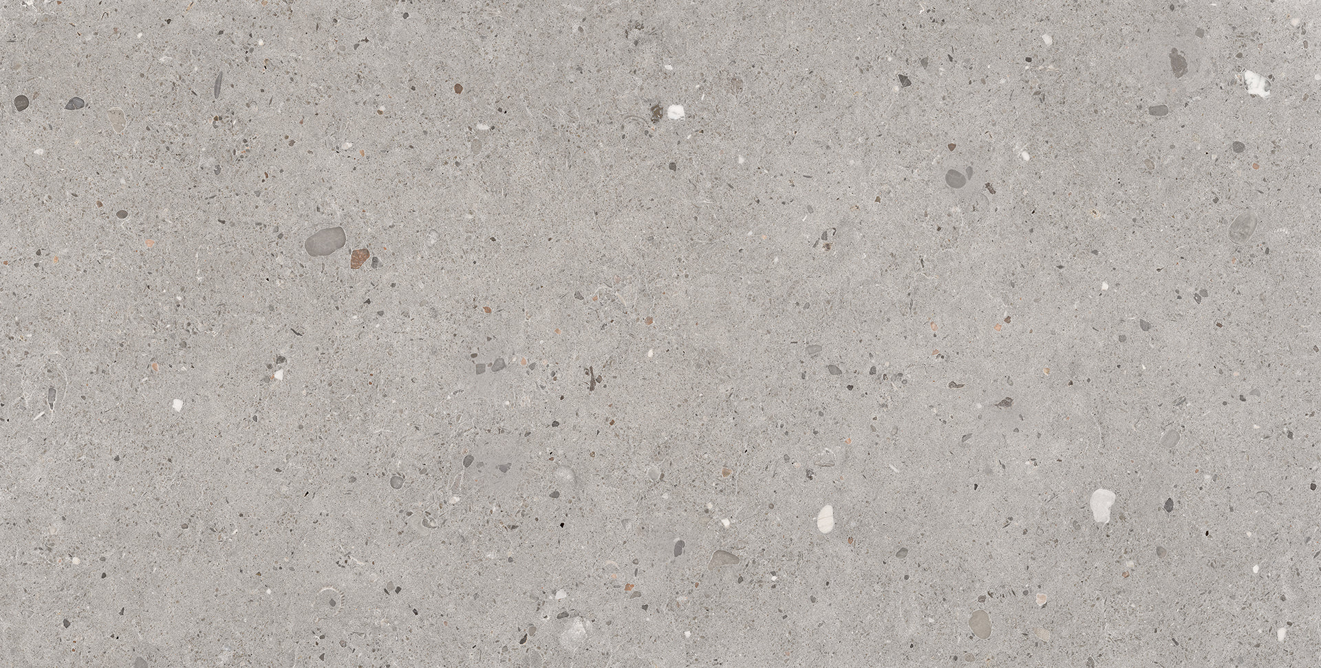 Ego Grigio porcelain field tile by Emil, tecnica finish, 23 5/8"x47 1/4"x9.5-mm size. Premium Italian porcelain for floors and walls.
