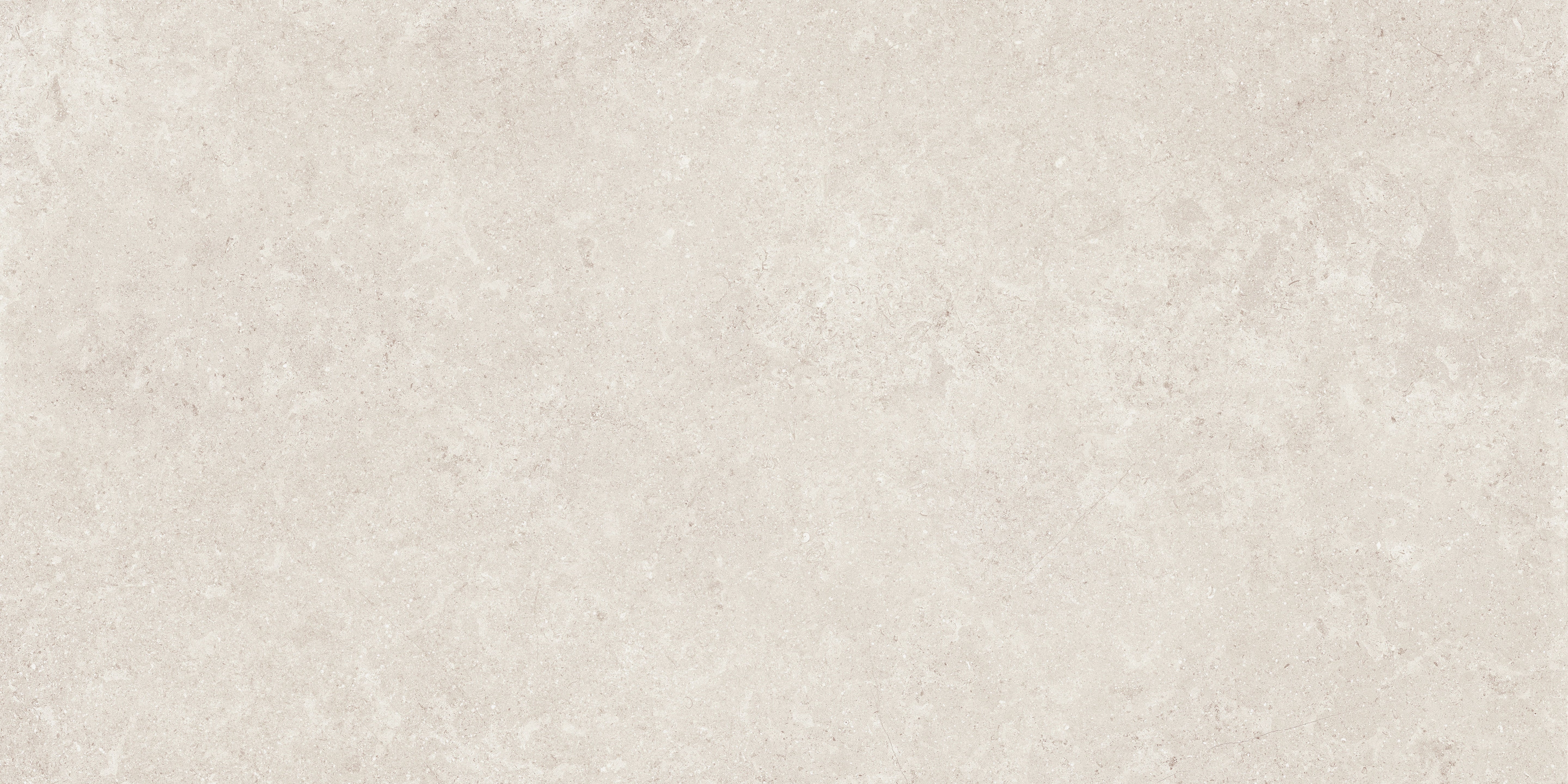 Mood Frost porcelain pavers, top-down product view, 24"×48"×11/32" size. Premium porcelain for floors and walls.