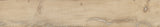 ALTER: Miele Porcelain Field Tile (2 9/16"x23 5/8"x9.5-mm | naturale | rectified)