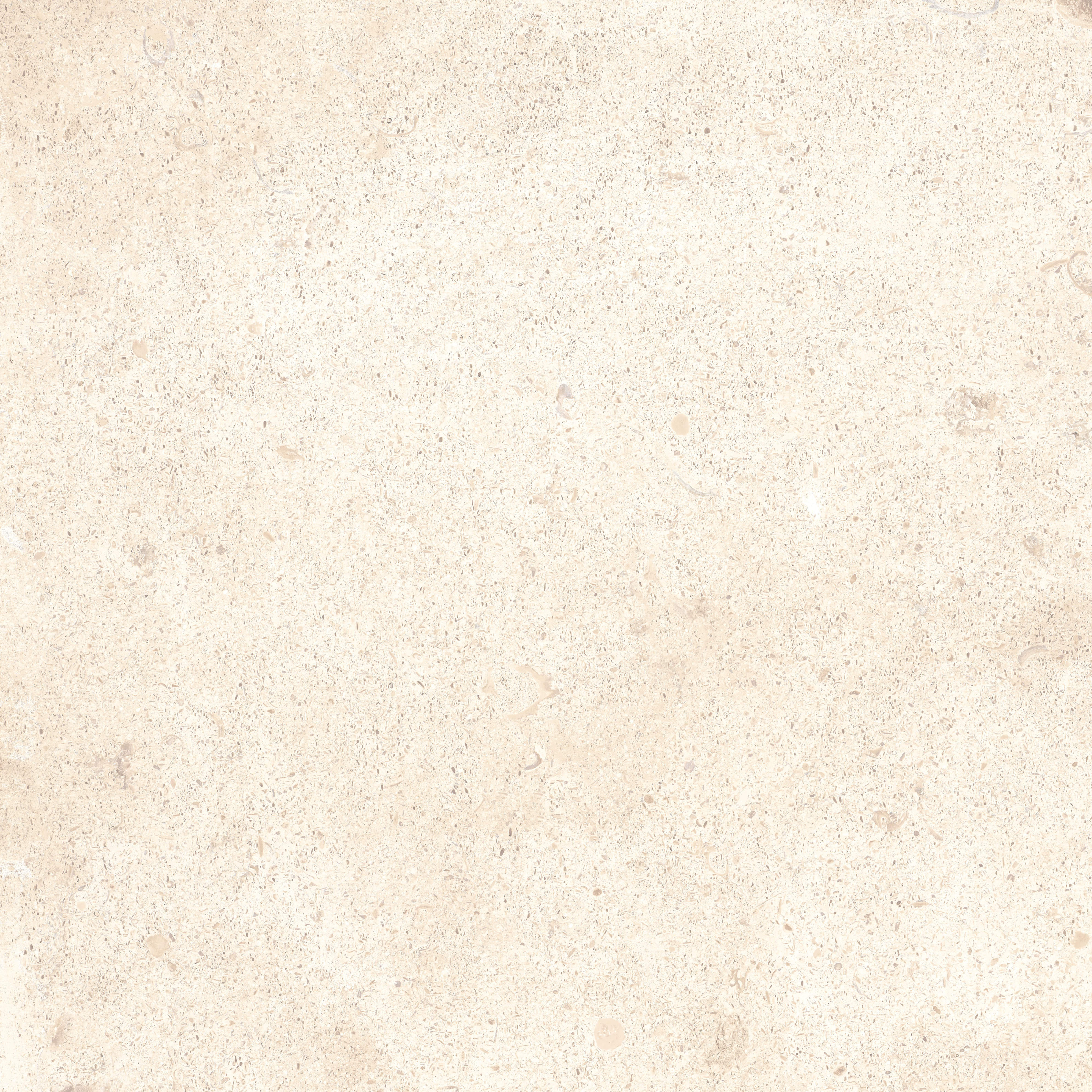 OUTDOOR EARTH: Moon White Paving Tile (24"x24"x20-mm | grip)