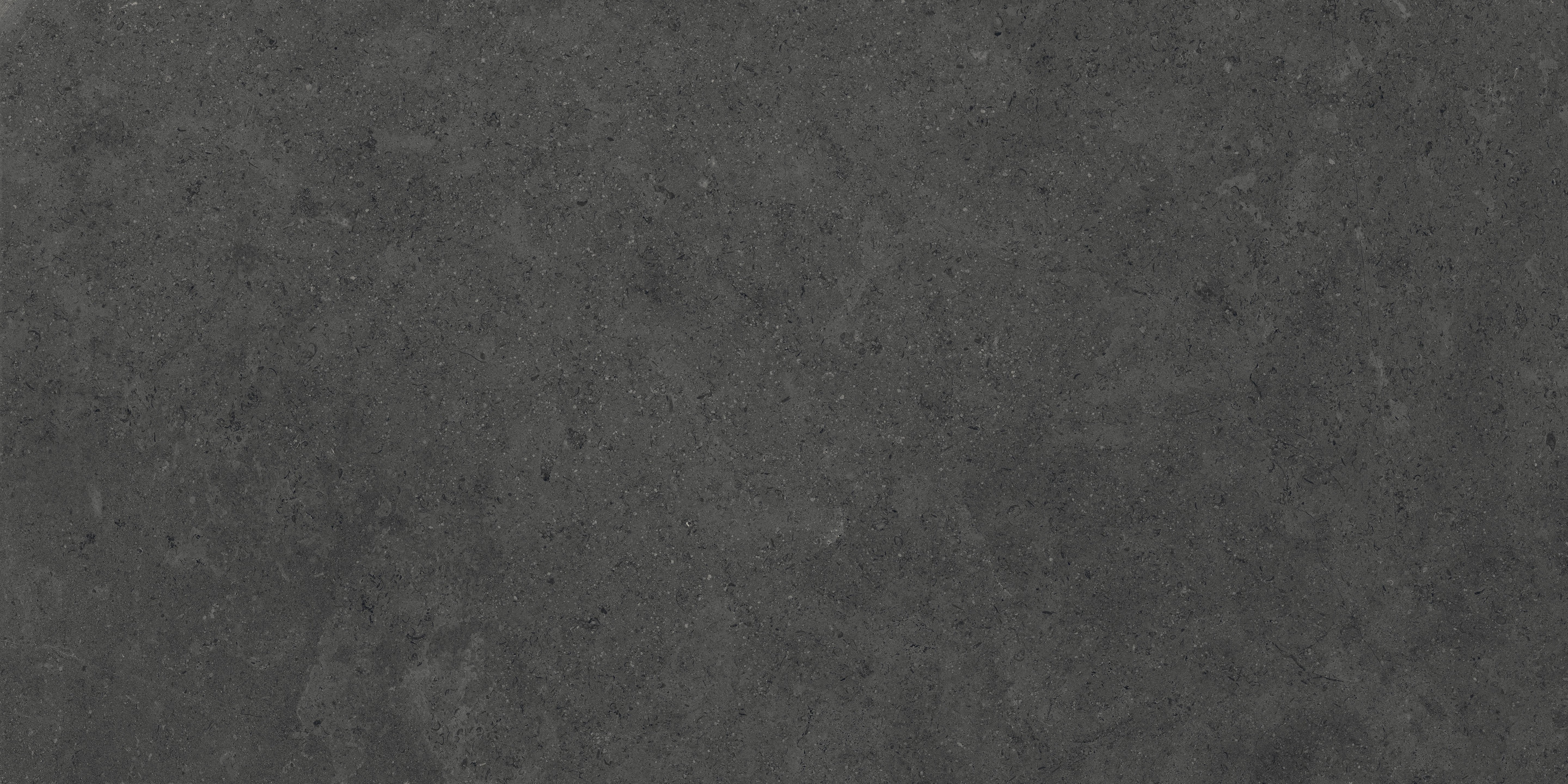 Mood Charcoal porcelain field tile, top-down product view, 24"×48"×11/32" size. Premium porcelain for floors and walls.
