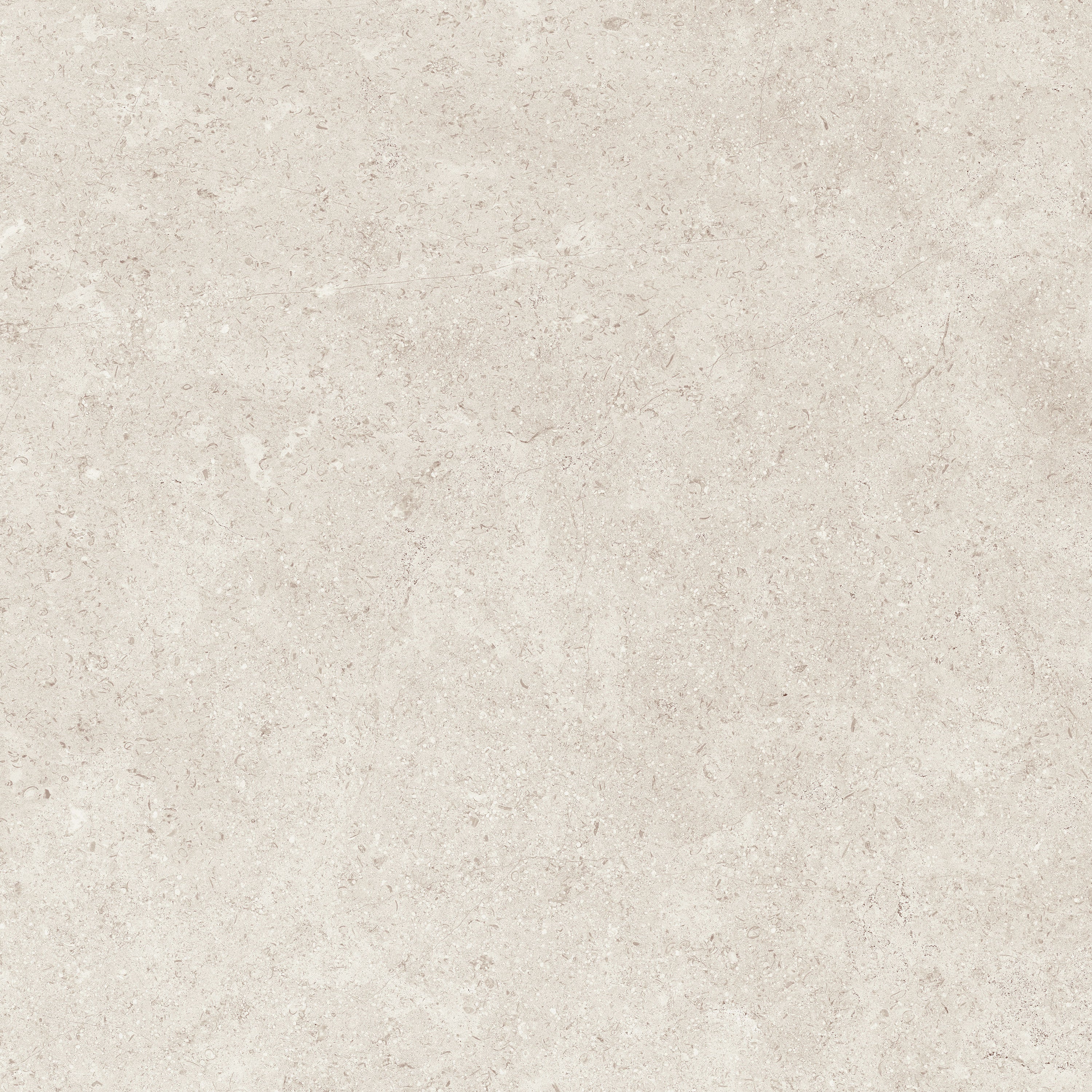FRONTIER20 Frost porcelain pavers, top-down product view, 24"×25/32" size. Premium porcelain for floors and walls.