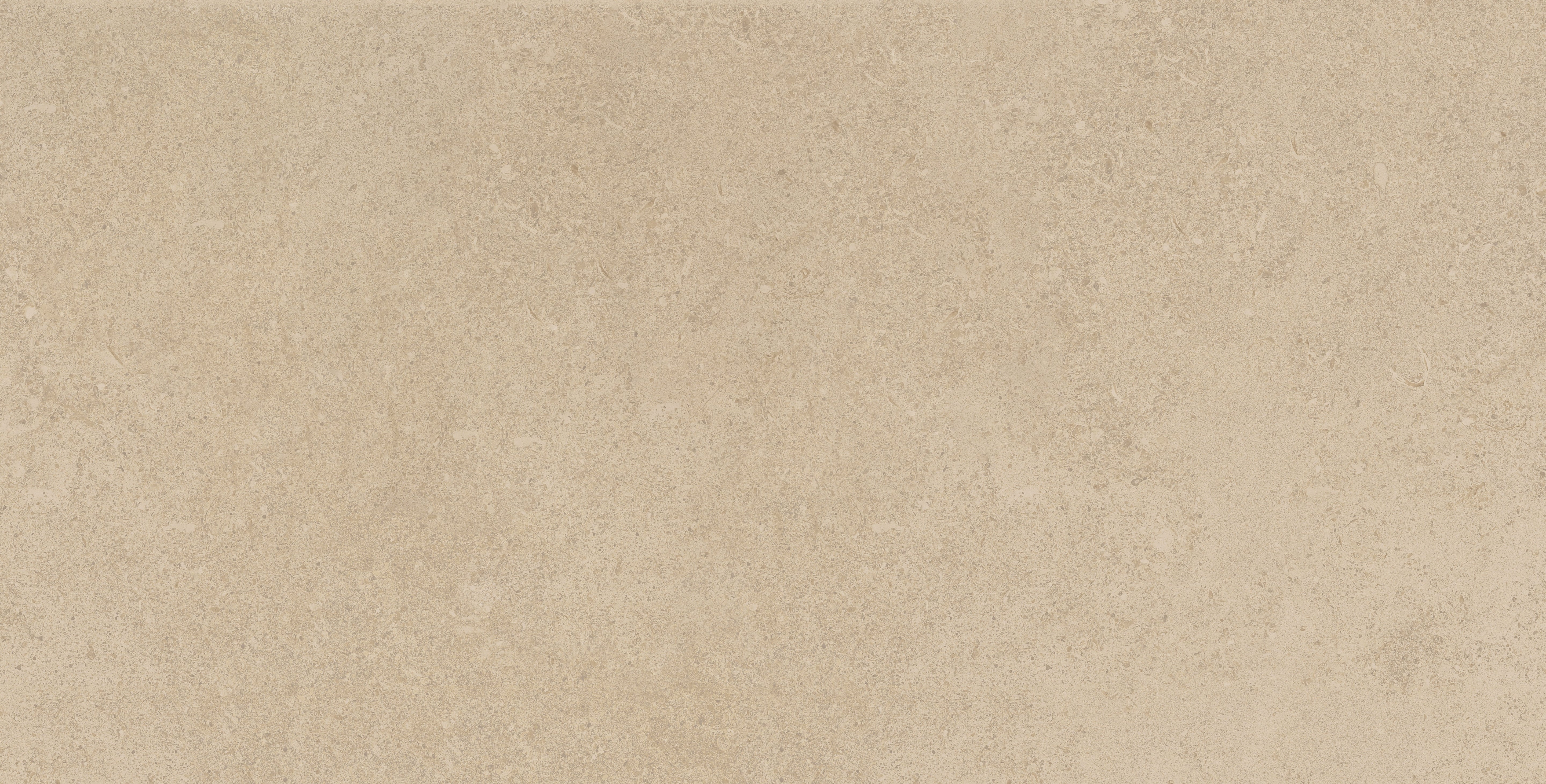 Mood Biscuit porcelain field tile, top-down product view, 24"×48"×11/32" size. Premium porcelain for floors and walls.
