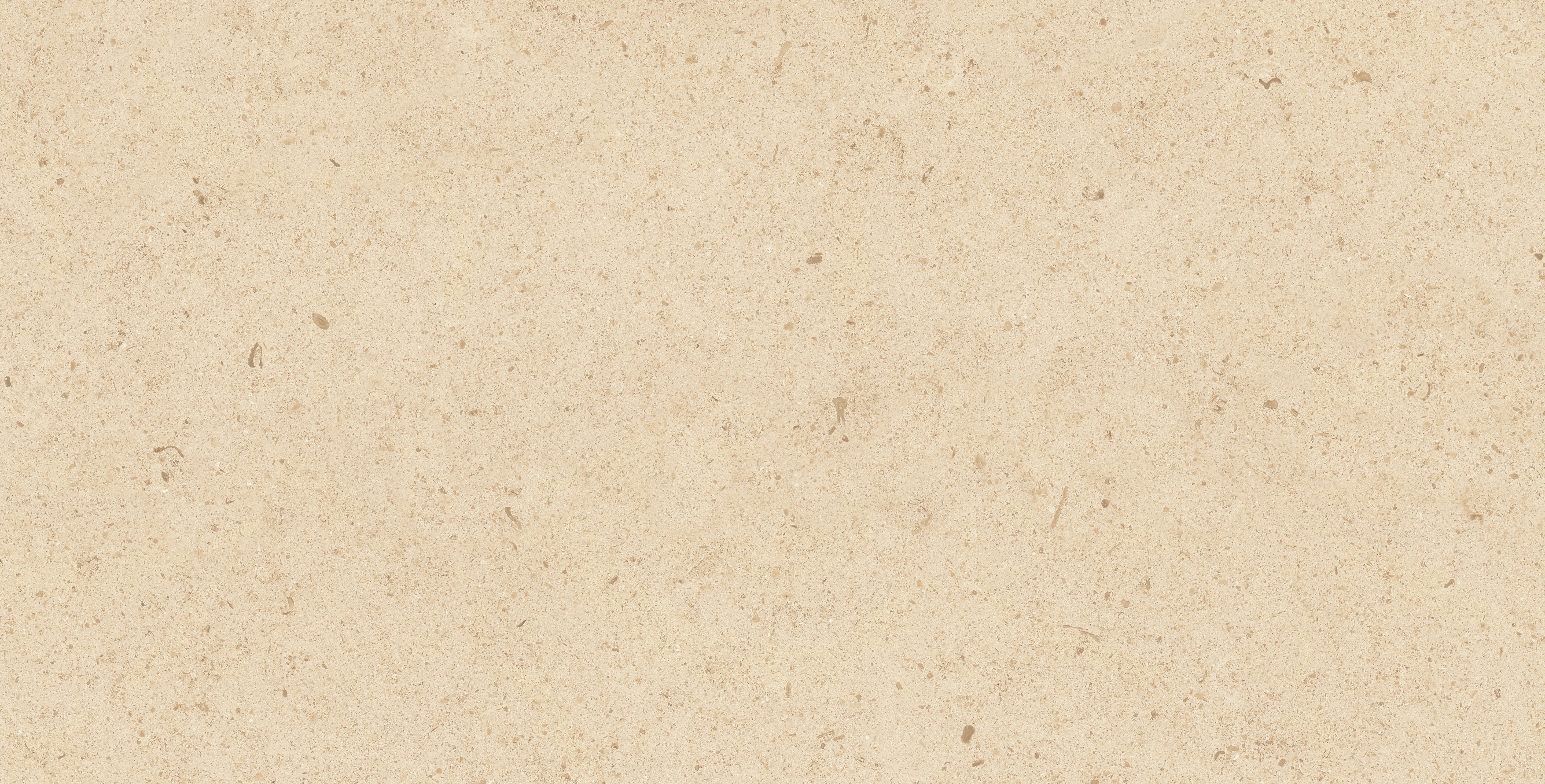 FRONTIER20 Dune porcelain pavers, top-down product view, 12"×24"×25/32" size. Premium porcelain for floors and walls.