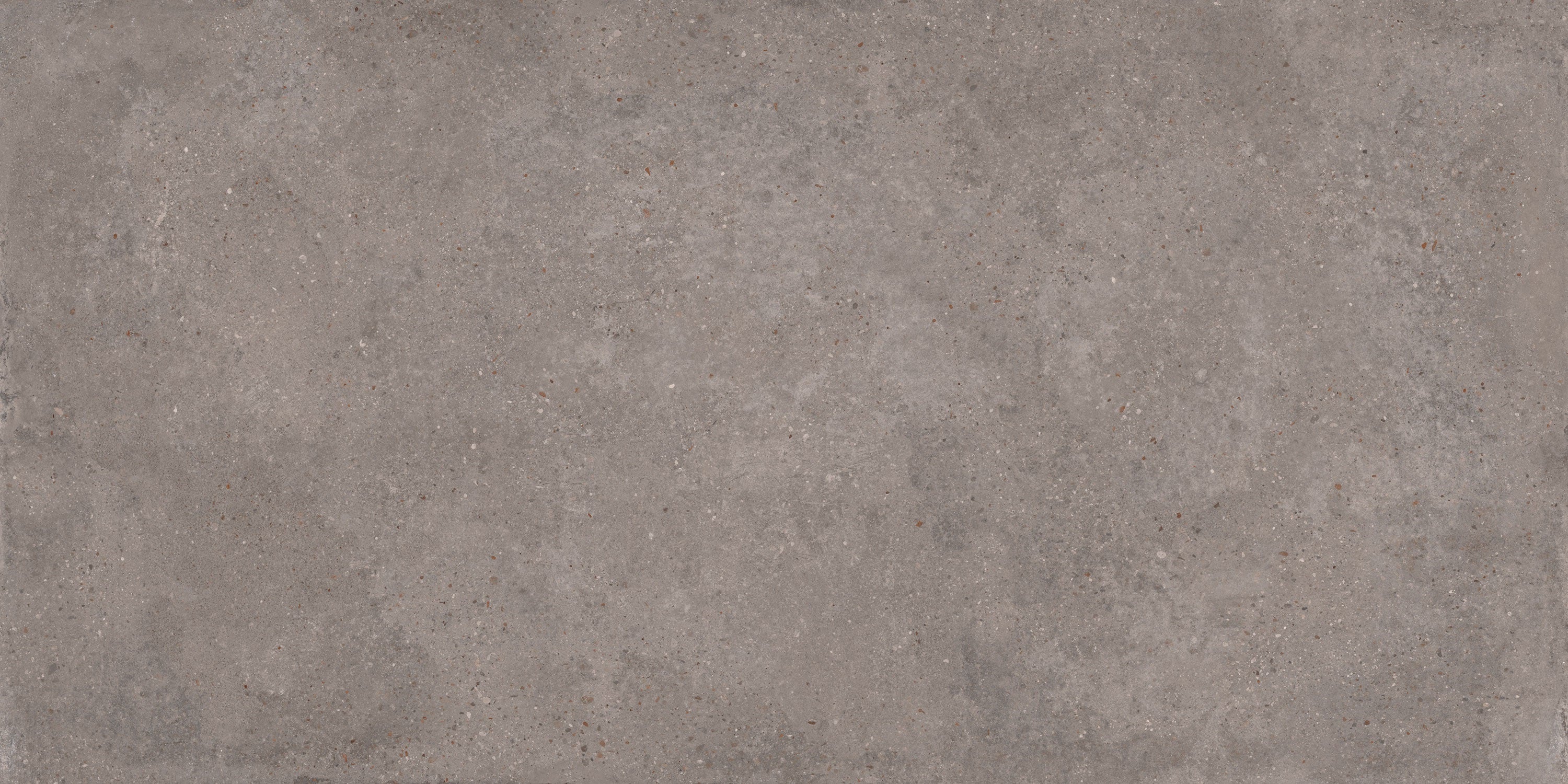 Berlin Charcoal porcelain field tile, top-down product view, 24"×48"×5/16" size. Premium porcelain for floors and walls.