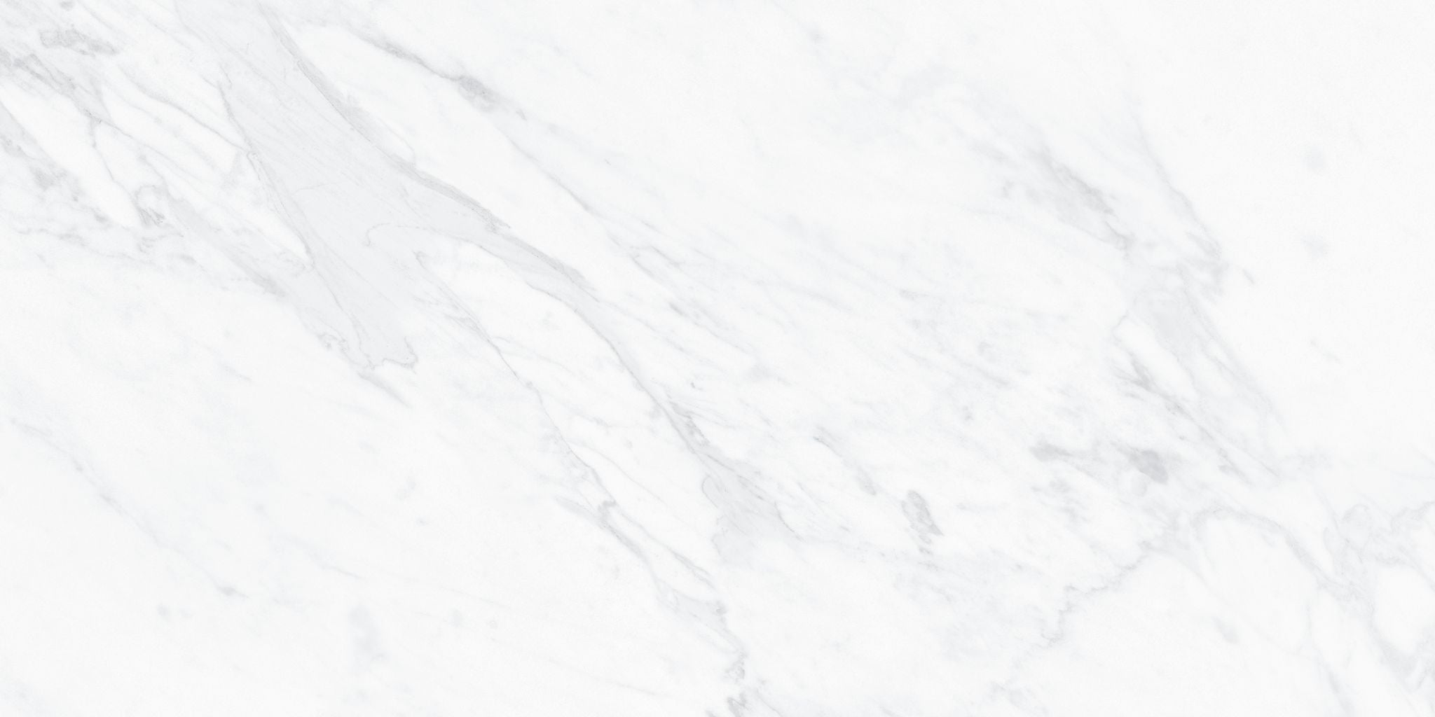 field tile by Anatolia Tile, top-down product view, 12"×24" size. Premium porcelain for floors and walls.