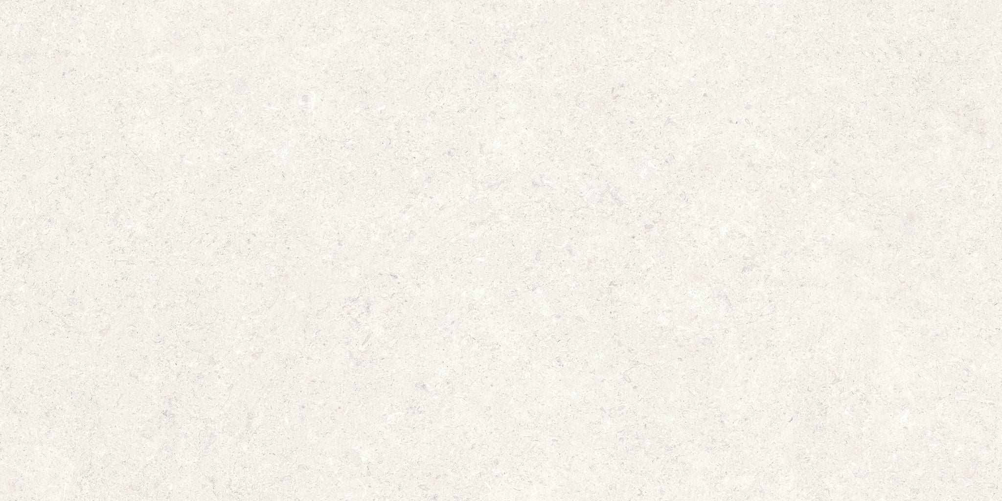 field tile by Anatolia Tile, top-down product view, 12"×24" size. Premium porcelain for floors and walls.