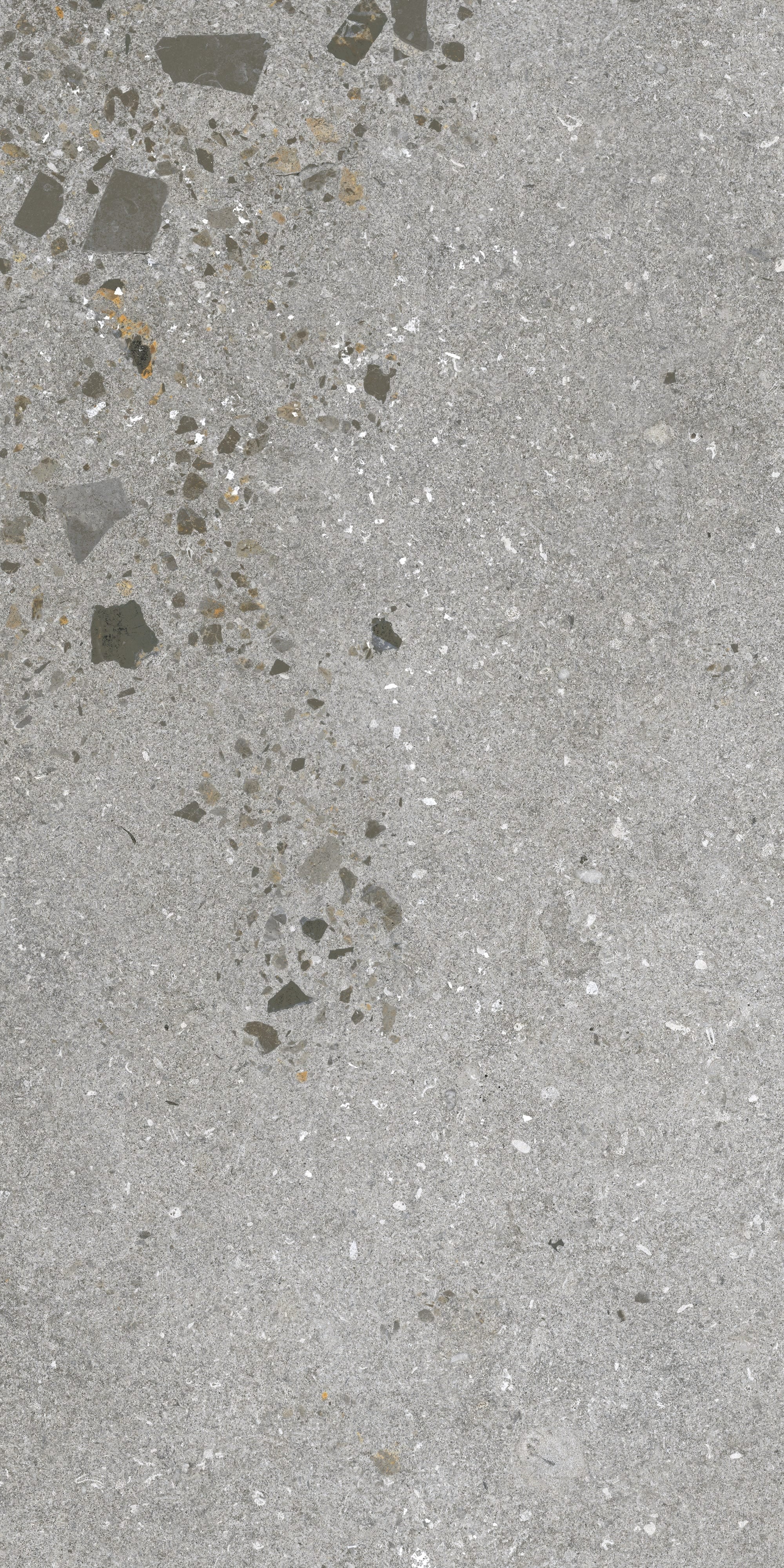 ETHEREAL ELEMENTS: Silver Serenity Field Tile (12"x24"x8-mm | natural | rectified)