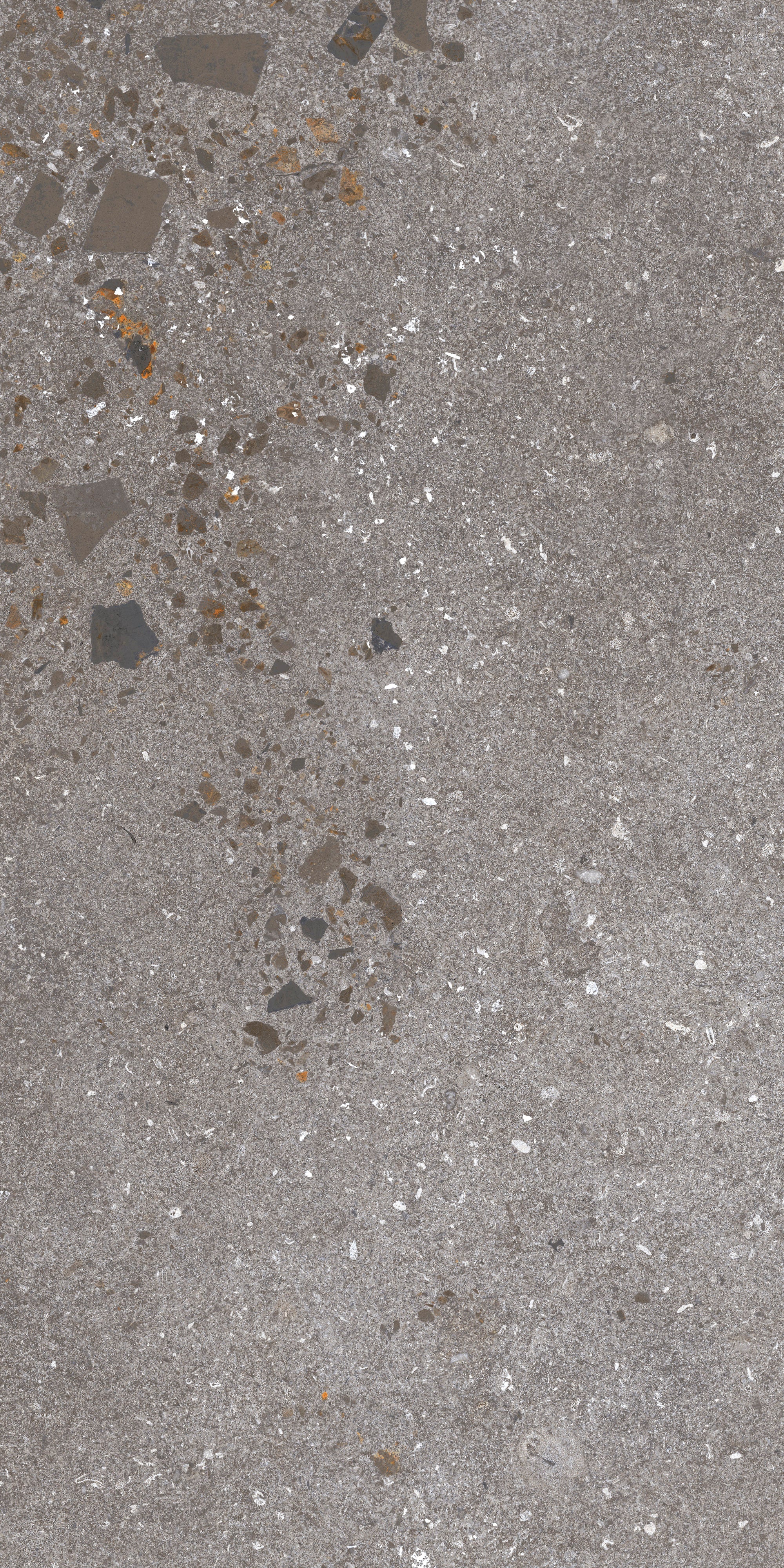 ETHEREAL ELEMENTS: Terra Harmony Field Tile (12"x24"x8-mm | natural | rectified)