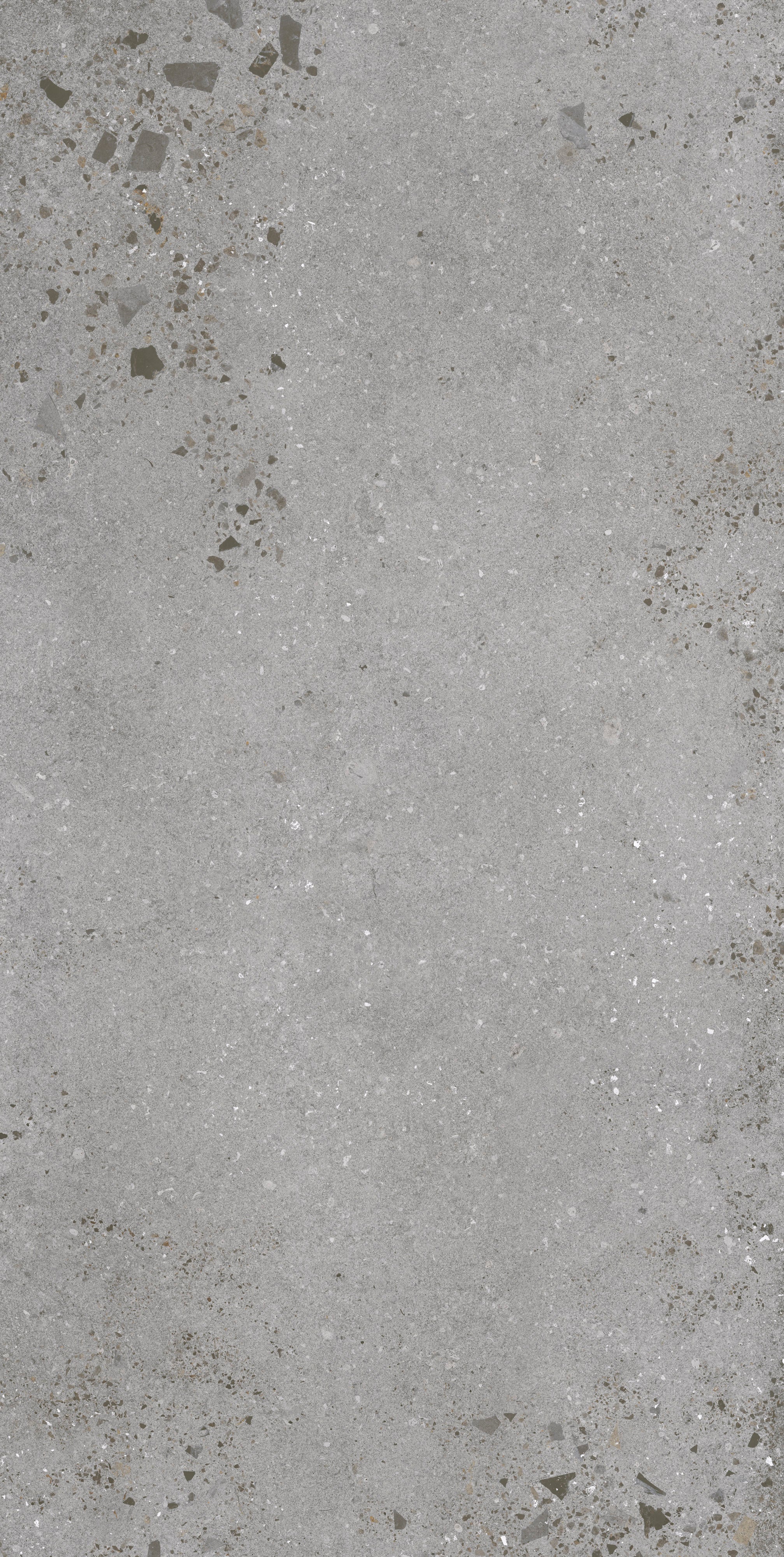 ETHEREAL ELEMENTS: Silver Serenity Field Tile (24"x48"x10-mm | natural | rectified)