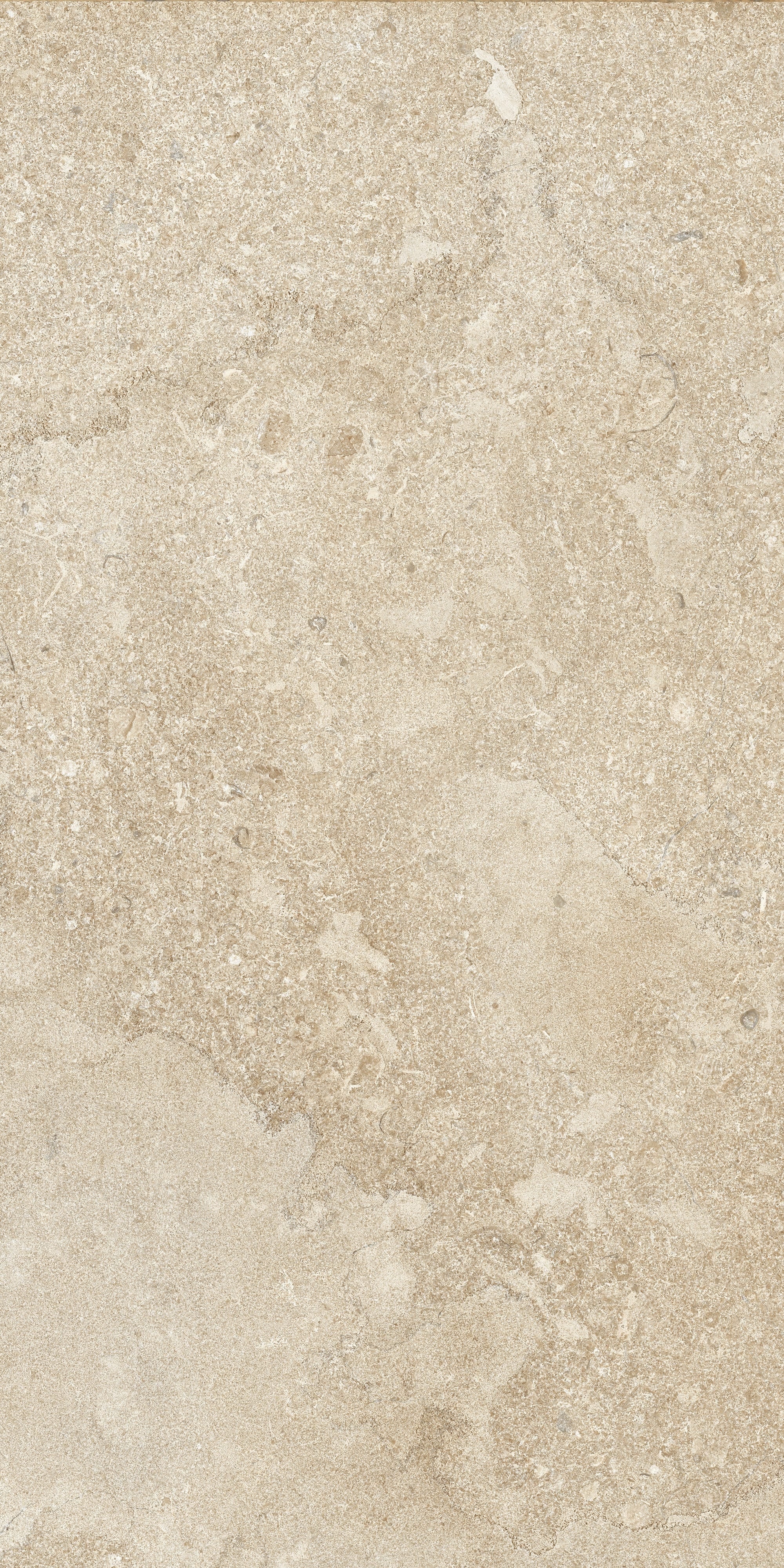 AURORA ELEGANCE: Sun-Kissed Sands Field Tile (12"x24"x8-mm | natural | rectified)