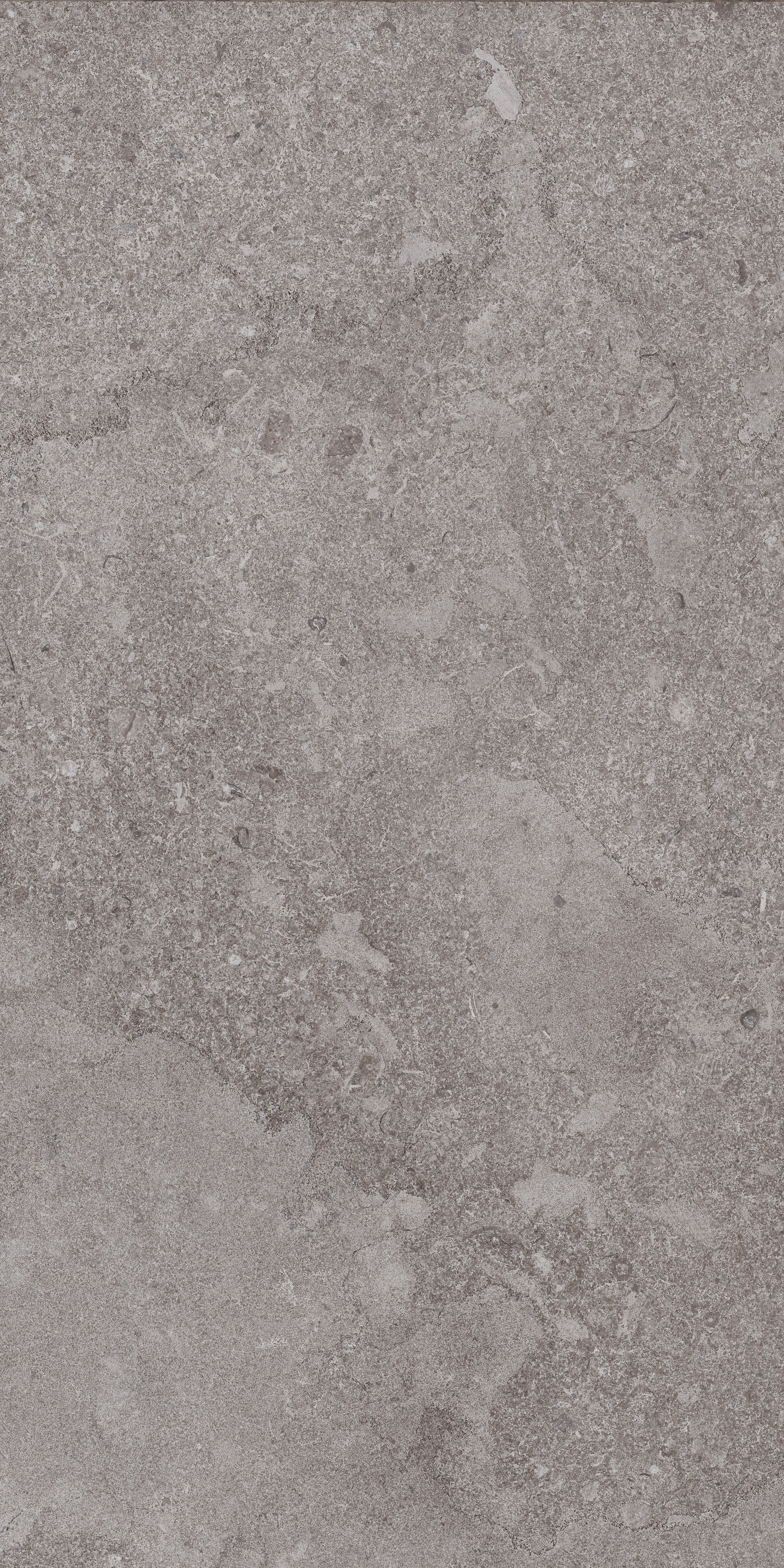 AURORA ELEGANCE: Ashen Dawn Field Tile (12"x24"x8-mm | natural | rectified)