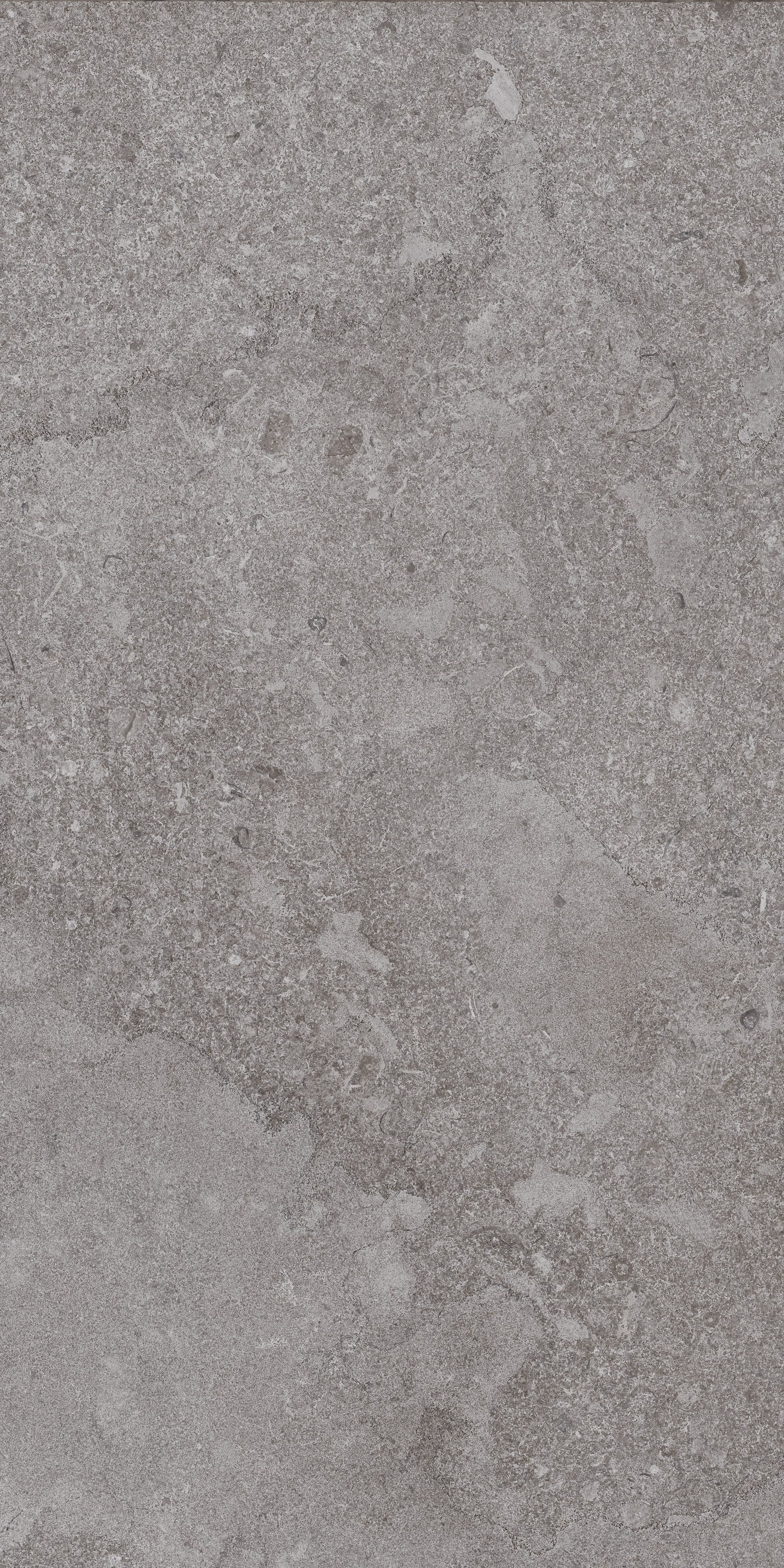 AURORA ELEGANCE: Ashen Dawn Field Tile (12"x24"x8-mm | natural | rectified)