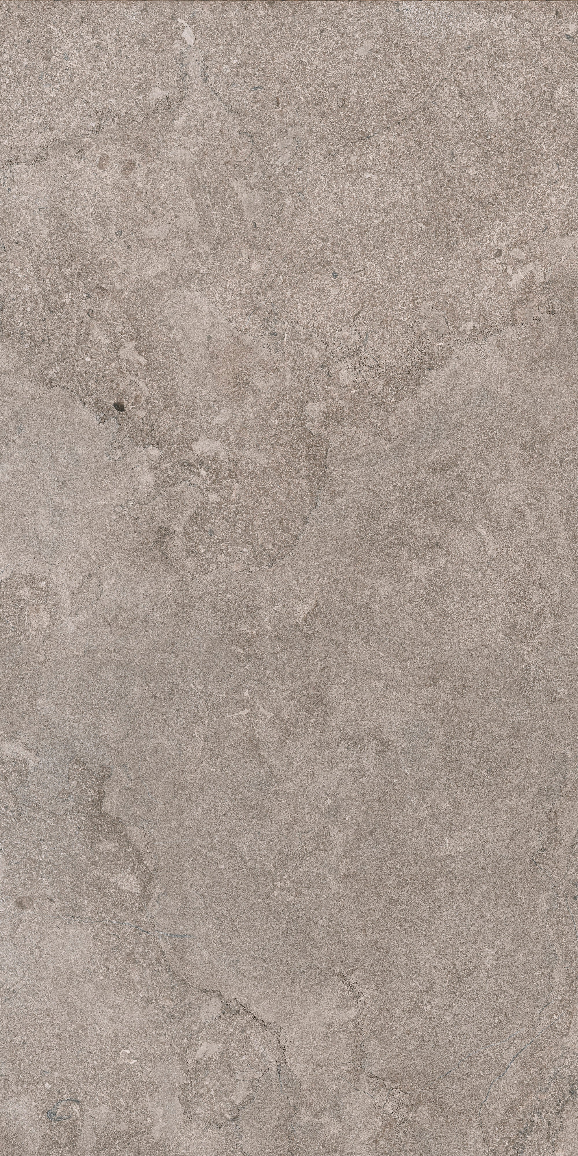 AURORA ELEGANCE: Fendi Frost Field Tile (24"x48"x10-mm | natural | rectified)