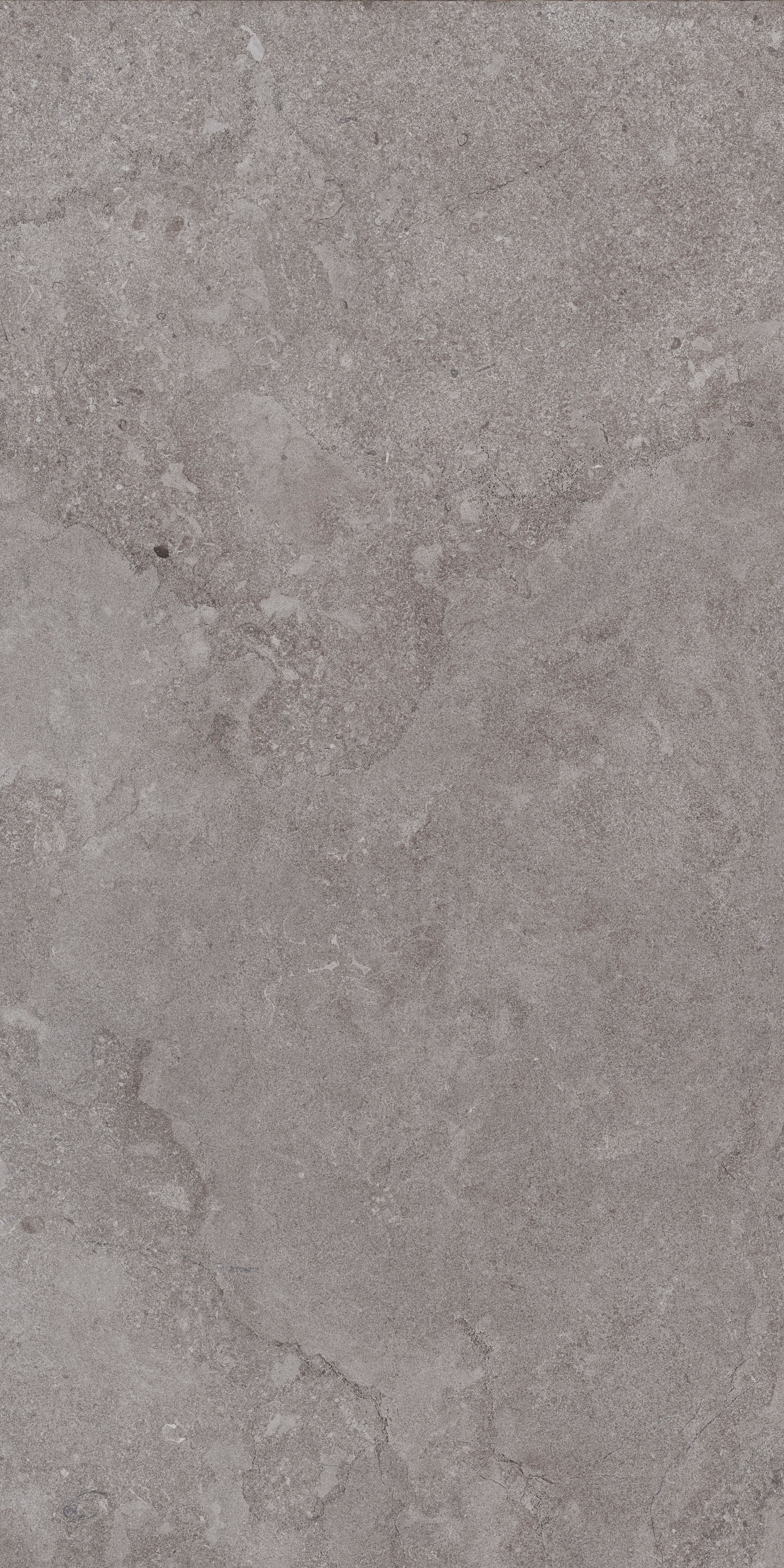AURORA ELEGANCE: Ashen Dawn Field Tile (24"x48"x10-mm | natural | rectified)