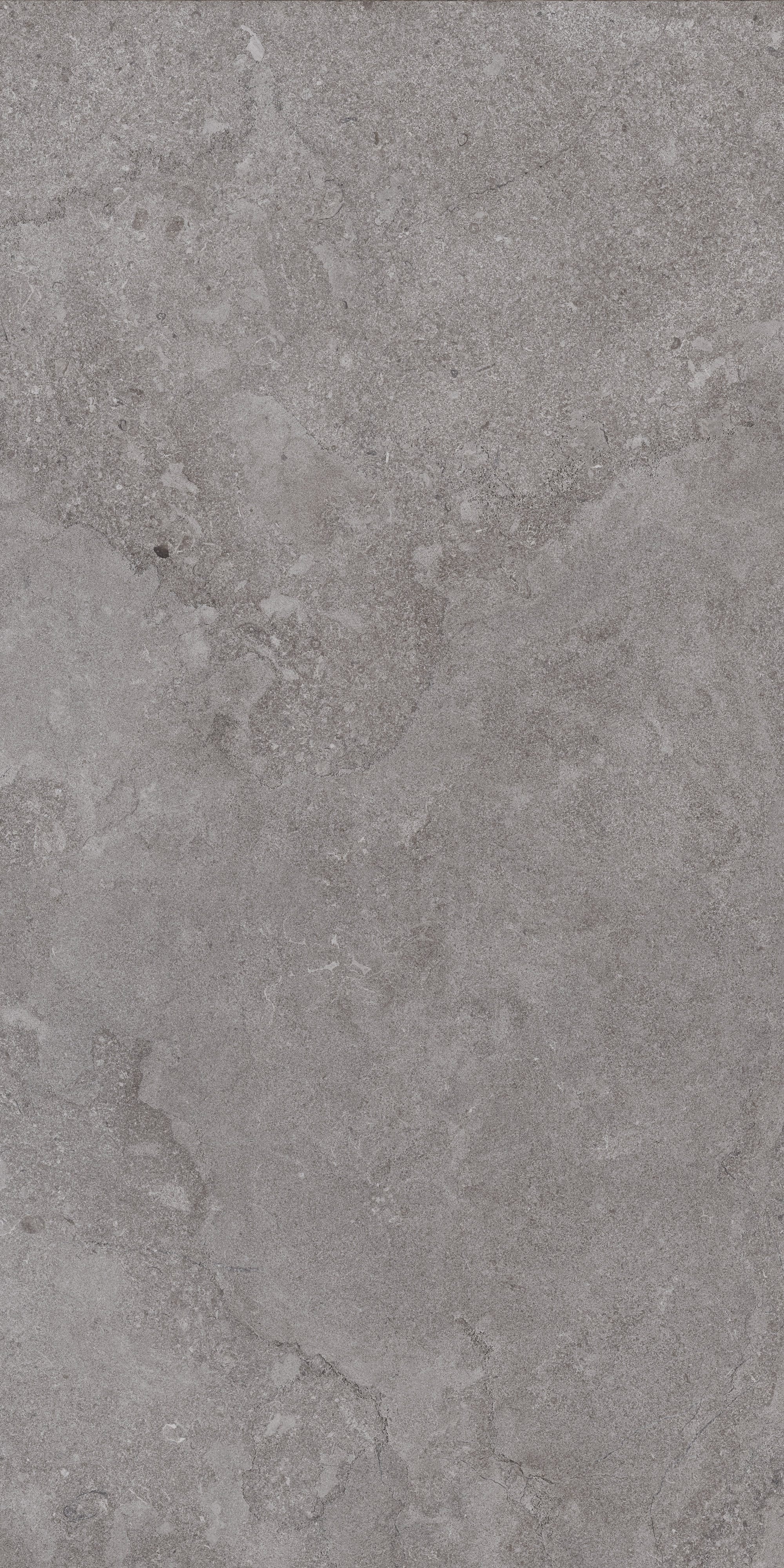 AURORA ELEGANCE: Ashen Dawn Field Tile (24"x48"x10-mm | natural | rectified)