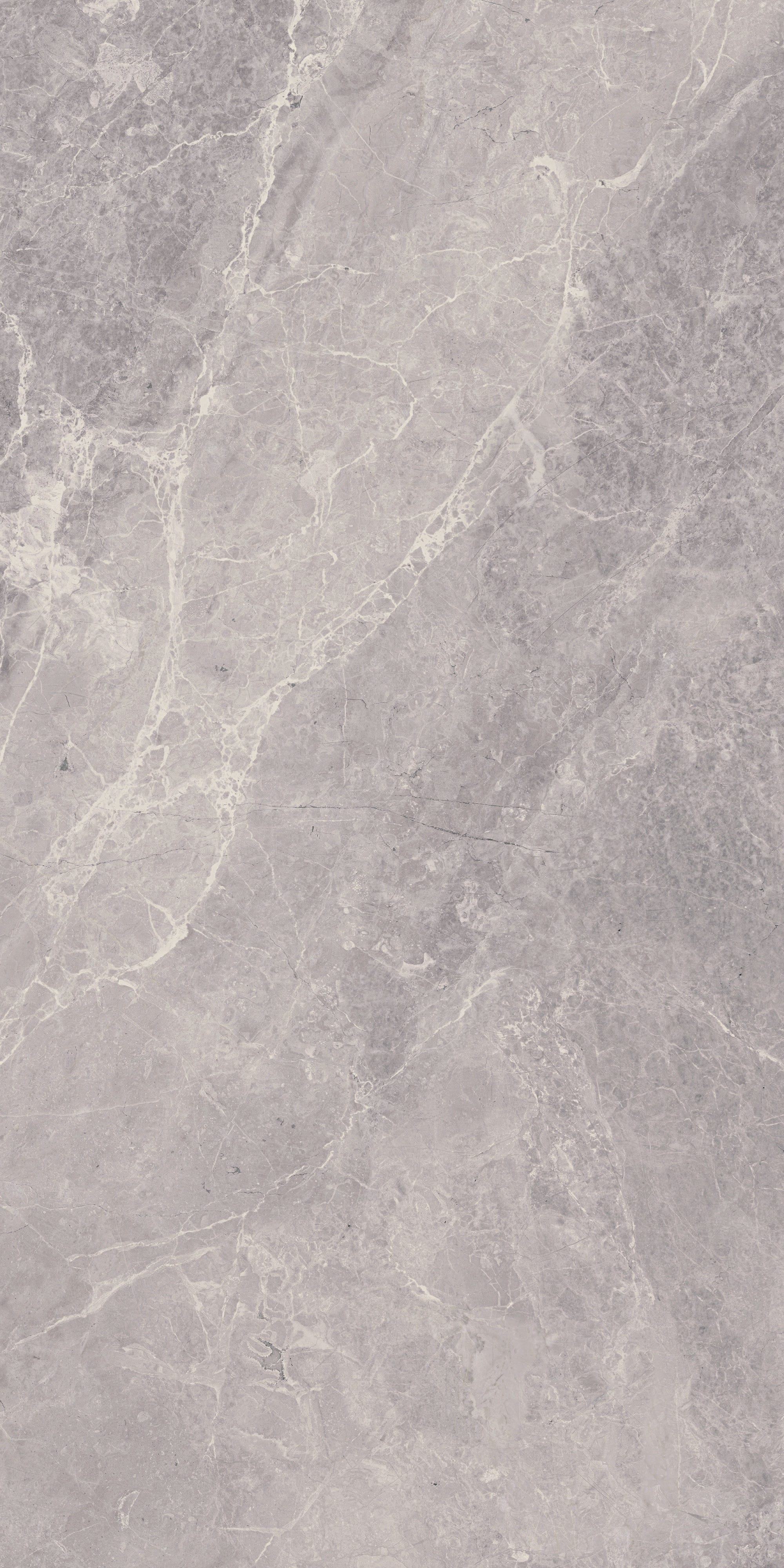 TEMPEST ELEGANCE: Gale Grace Field Tile (12"x24"x8-mm | polished | rectified)