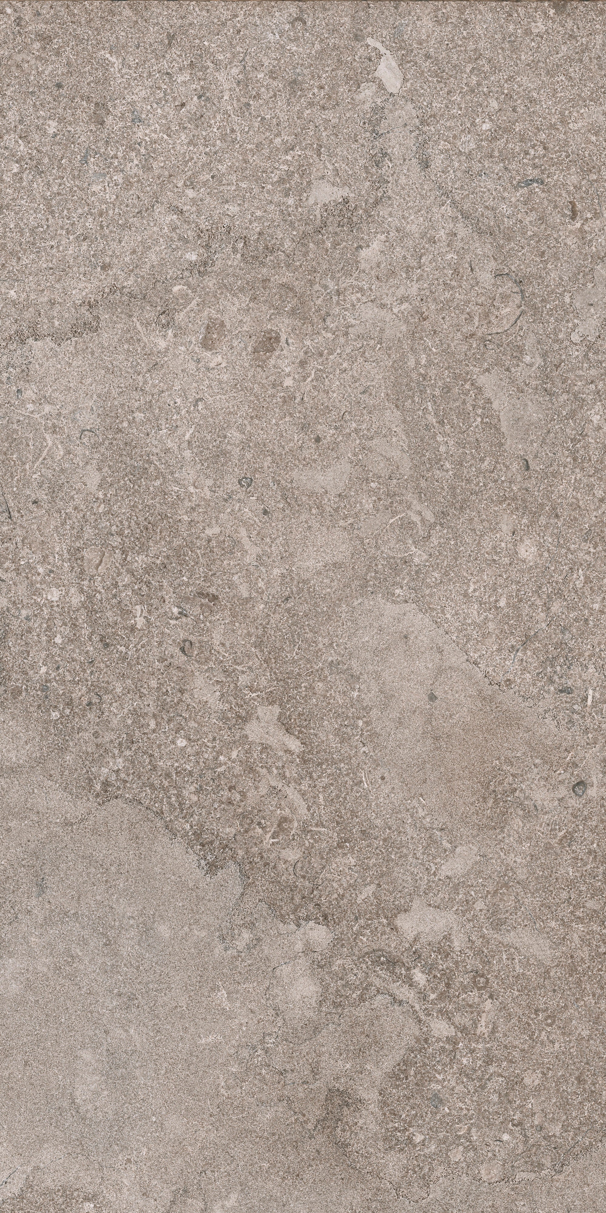AURORA ELEGANCE: Fendi Frost Field Tile (12"x24"x8-mm | polished | rectified)