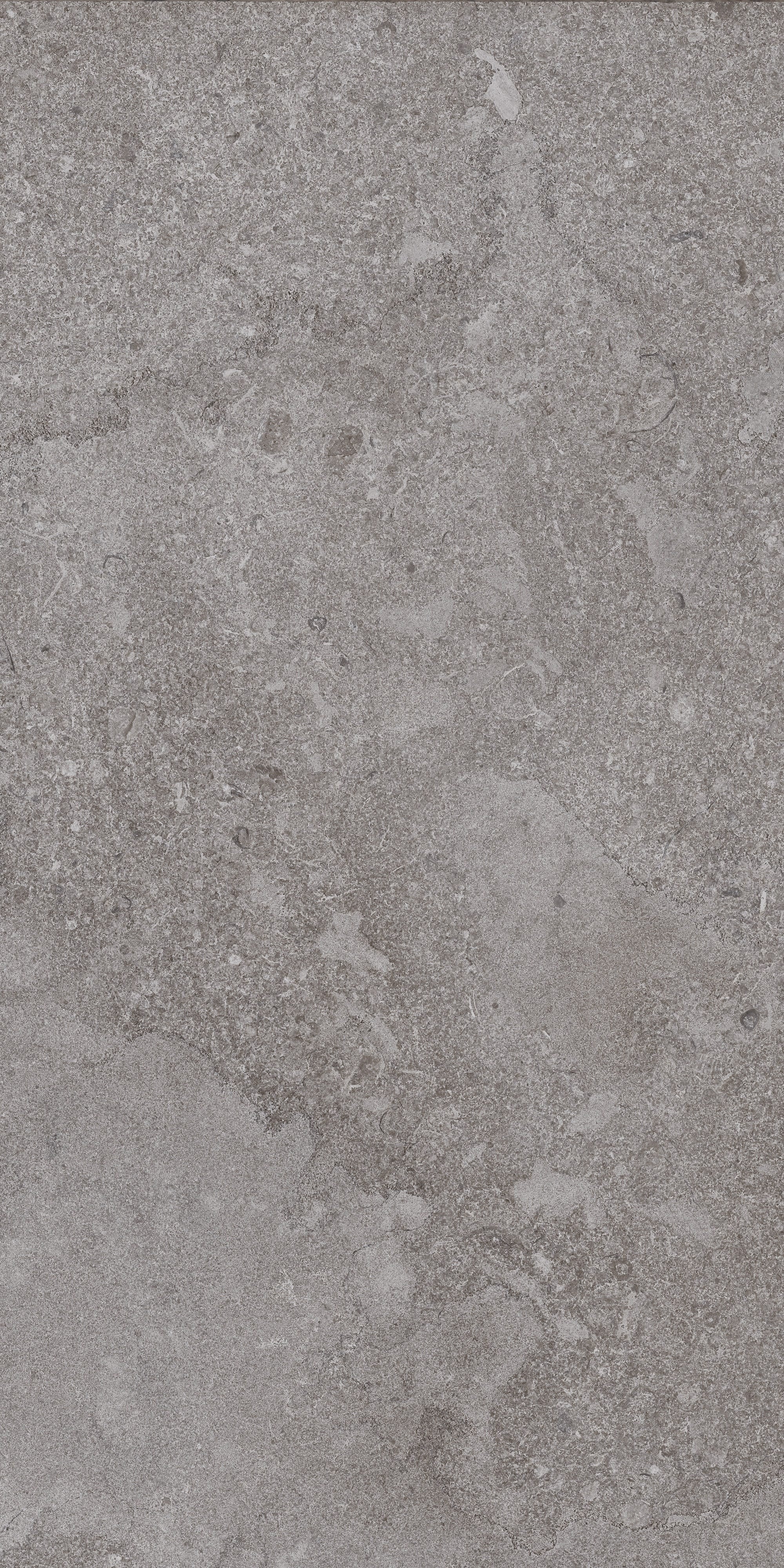 AURORA ELEGANCE: Ashen Dawn Field Tile (12"x24"x8-mm | polished | rectified)