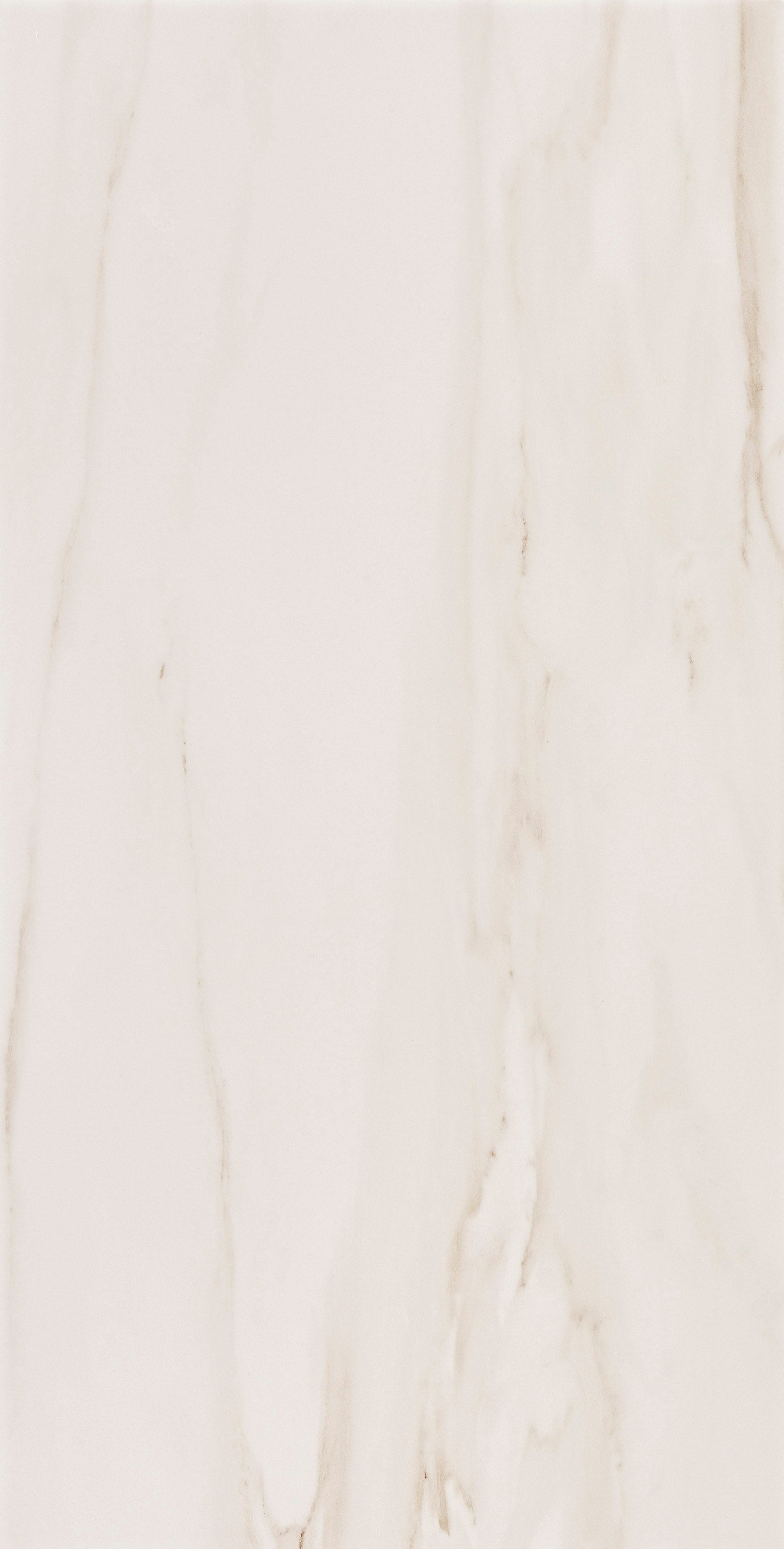 NORDIC REVERIE: Harbor Pearl Field Tile (12"x24"x8-mm | natural | rectified)