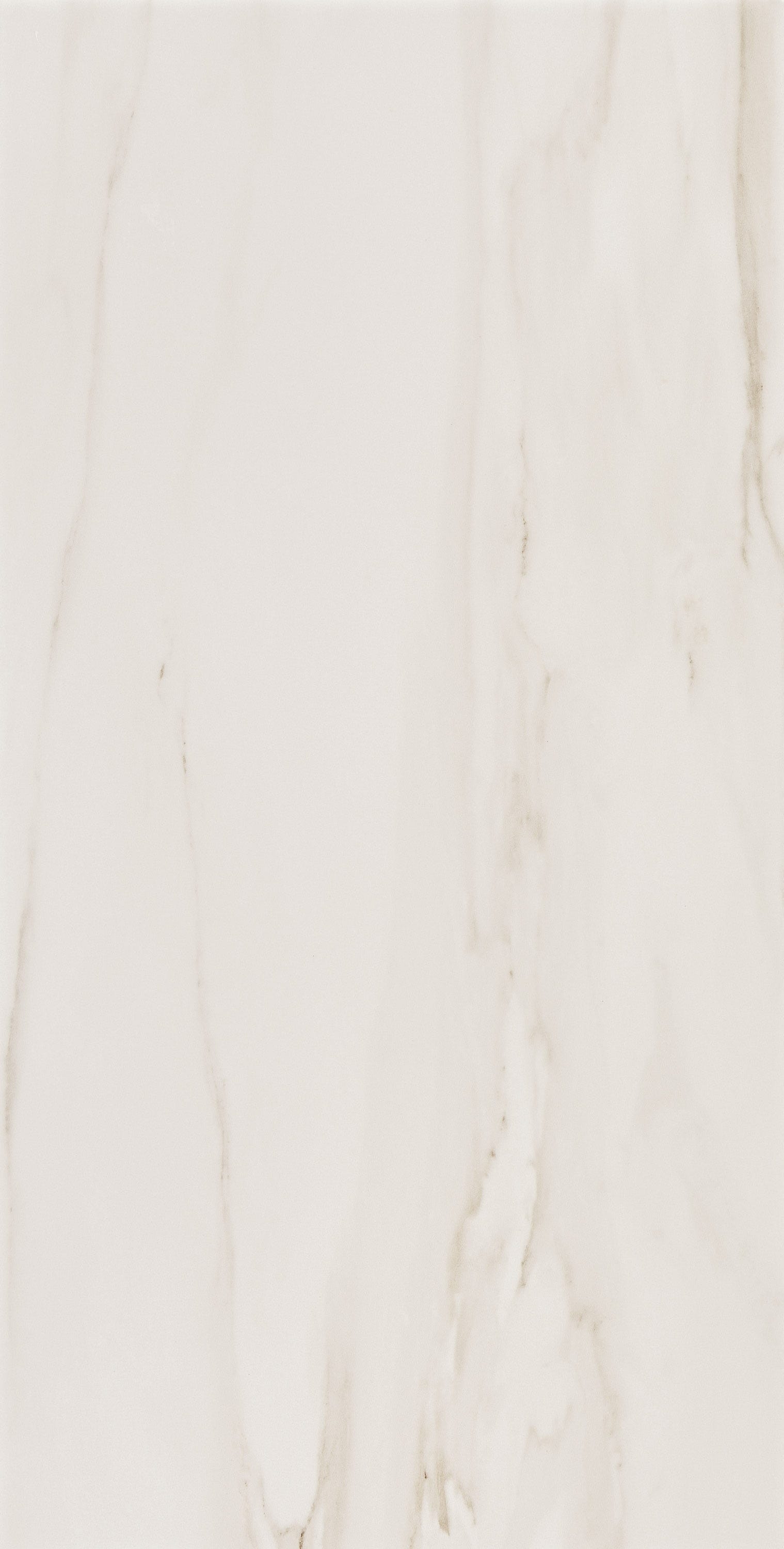 NORDIC REVERIE: Harbor Pearl Field Tile (12"x24"x8-mm | natural | rectified)