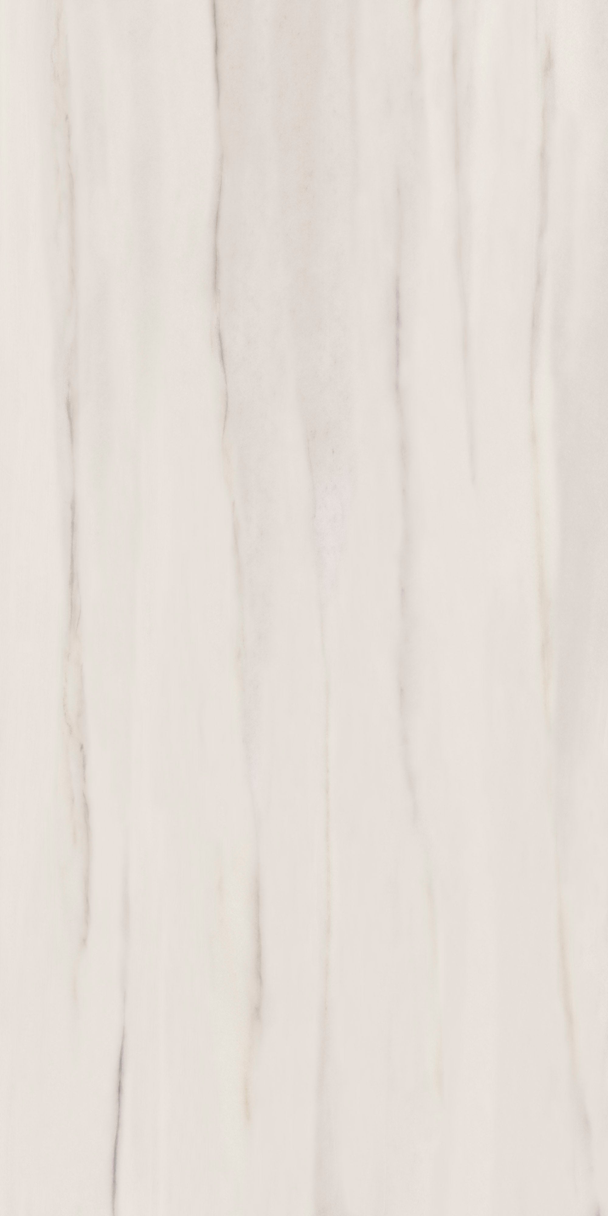 NORDIC REVERIE: Polar Veil Field Tile (24"x48"x10-mm | natural | rectified)