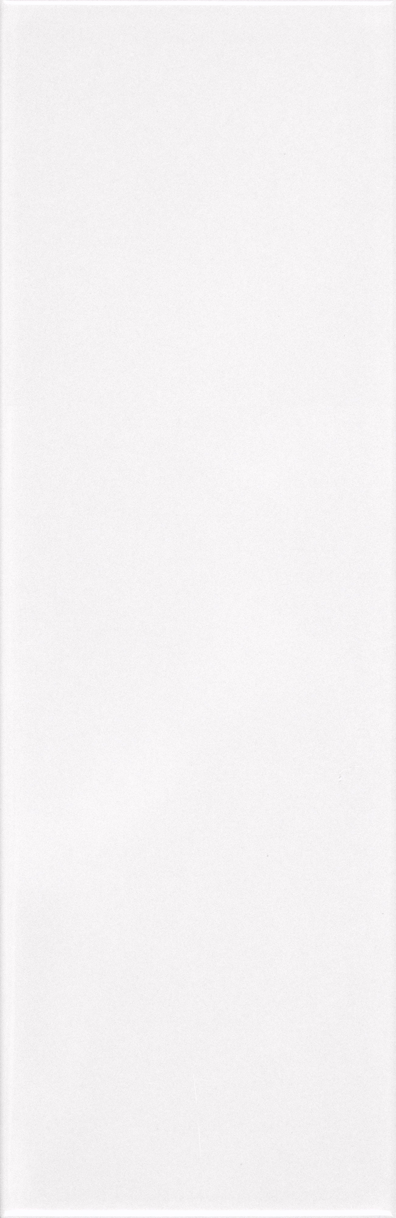 VANGUARD VISTA: Polar Panorama Field Tile (4"x12"x7-mm | matte | pressed)