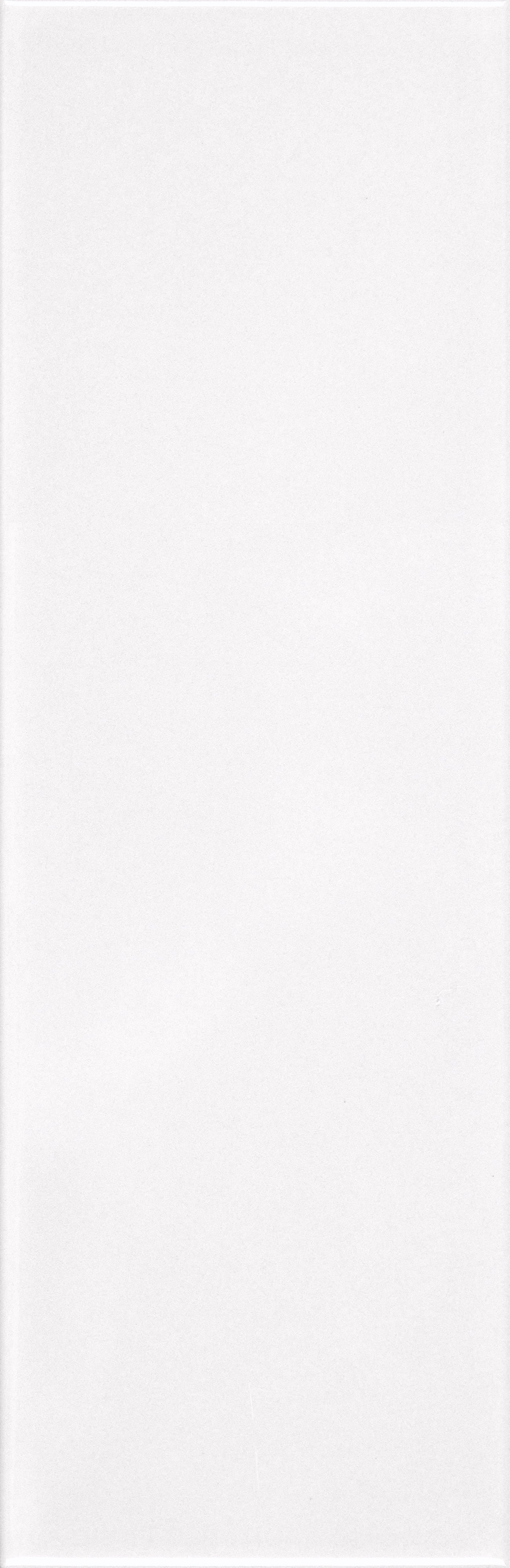 VANGUARD VISTA: Polar Panorama Field Tile (4"x12"x7-mm | matte | pressed)