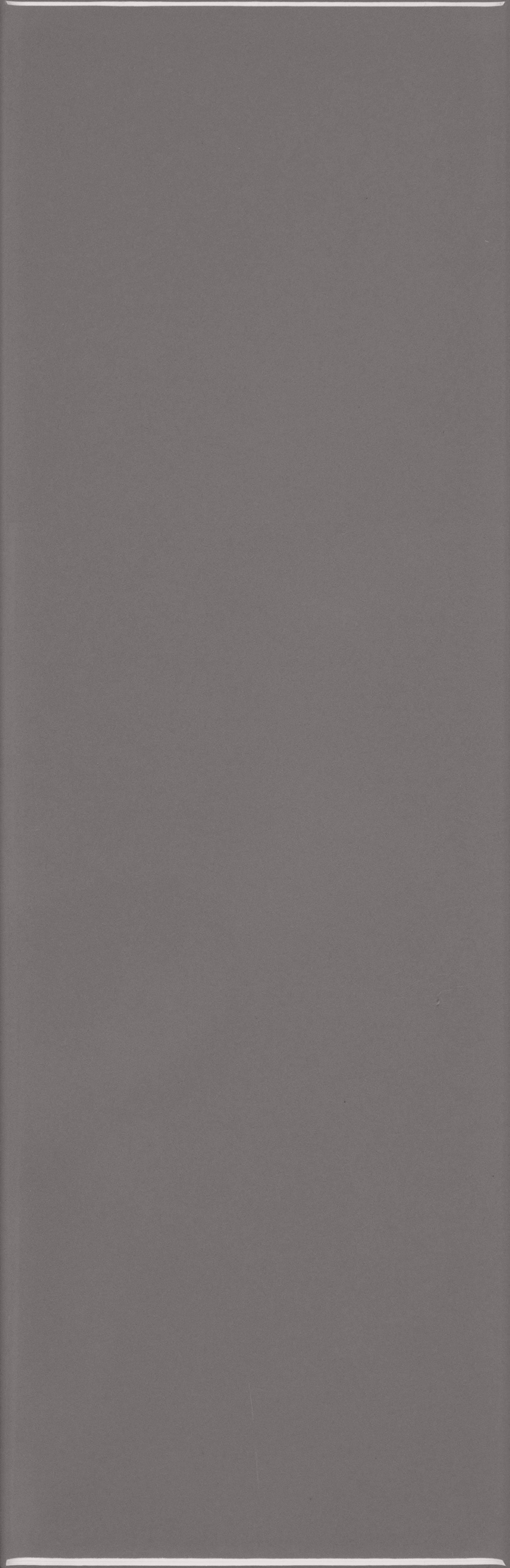 VANGUARD VISTA: Tempest Horizon Field Tile (4"x12"x7-mm | matte | pressed)