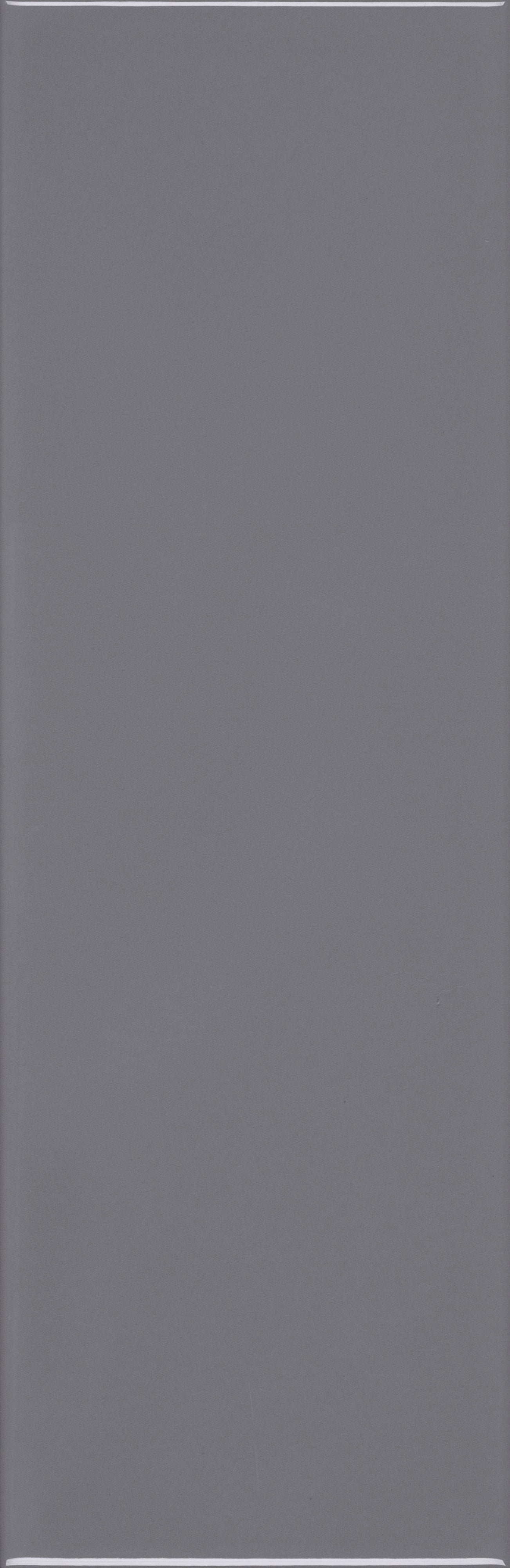 VANGUARD VISTA: Slate Vista Field Tile (4"x12"x7-mm | matte | pressed)