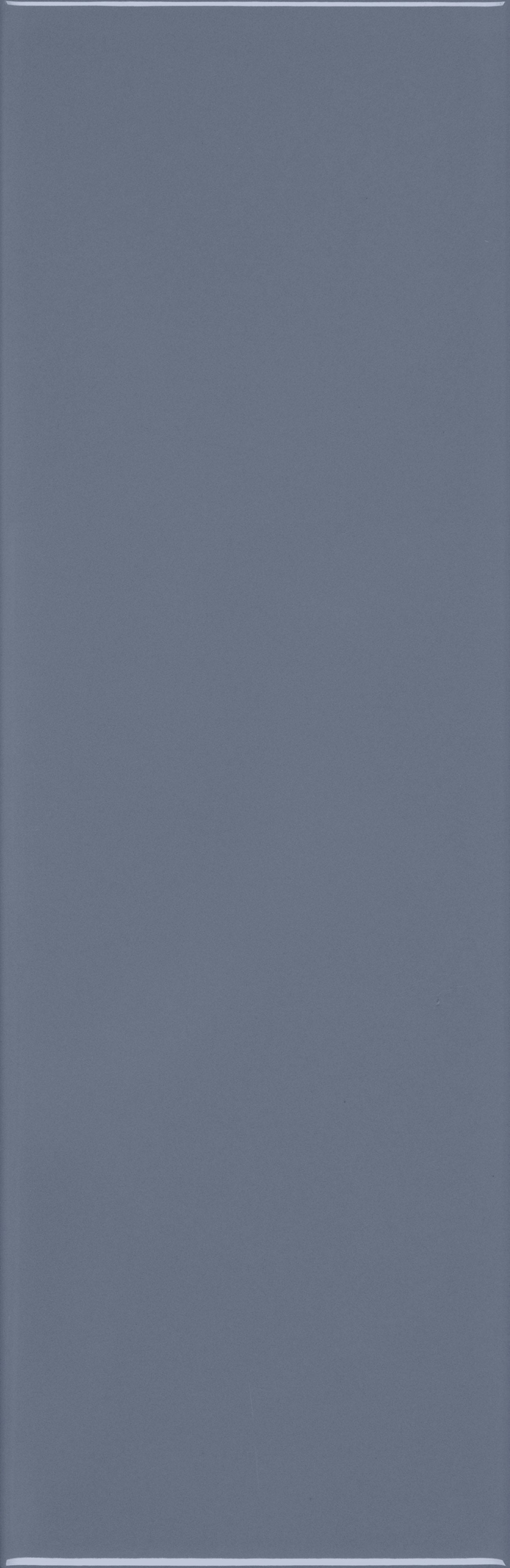 VANGUARD VISTA: Midnight Voyage Field Tile (4"x12"x7-mm | matte | pressed)