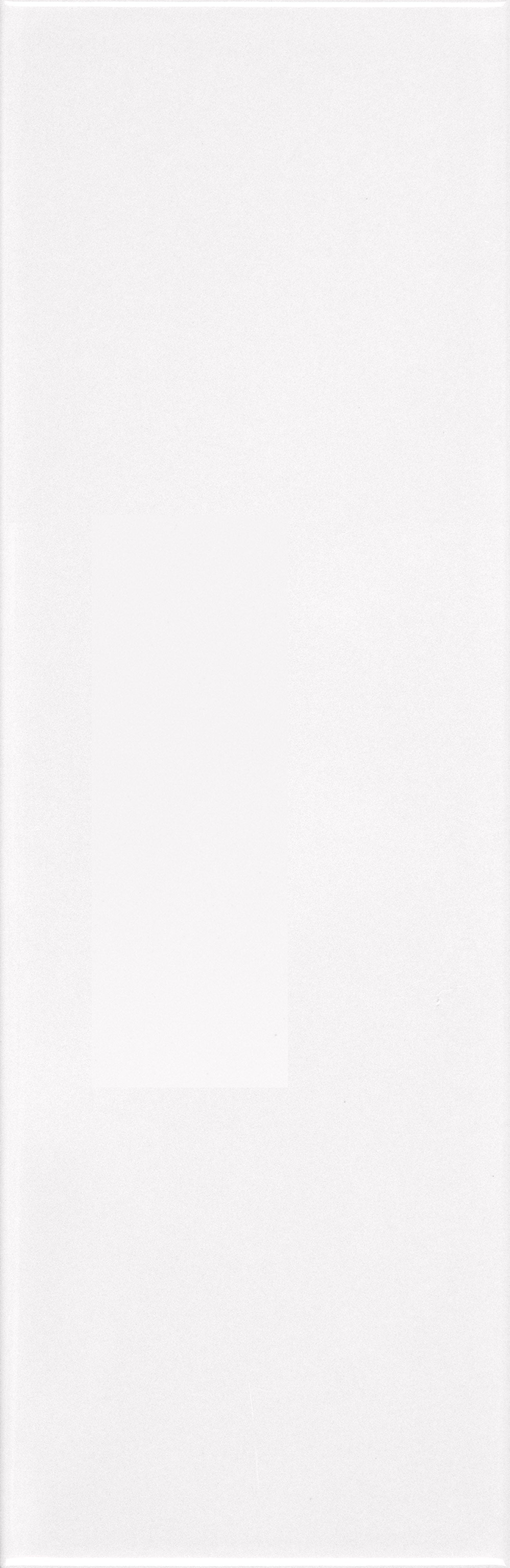 VANGUARD VISTA: Polar Panorama Field Tile (4"x12"x7-mm | glossy | pressed)