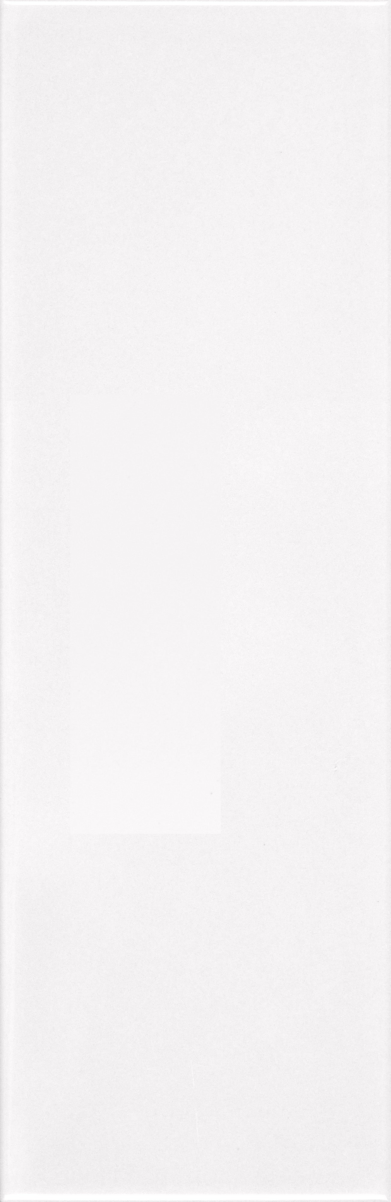 VANGUARD VISTA: Polar Panorama Field Tile (4"x12"x7-mm | glossy | pressed)