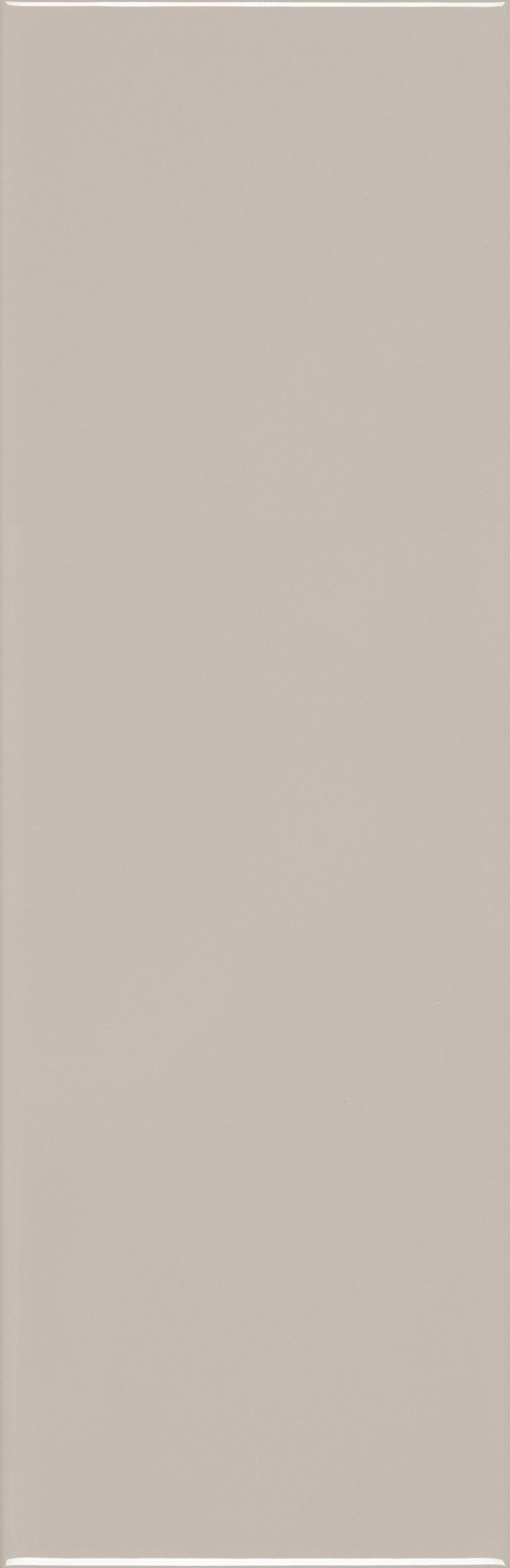 VANGUARD VISTA: Pavement Pathway Field Tile (4"x12"x7-mm | glossy | pressed)