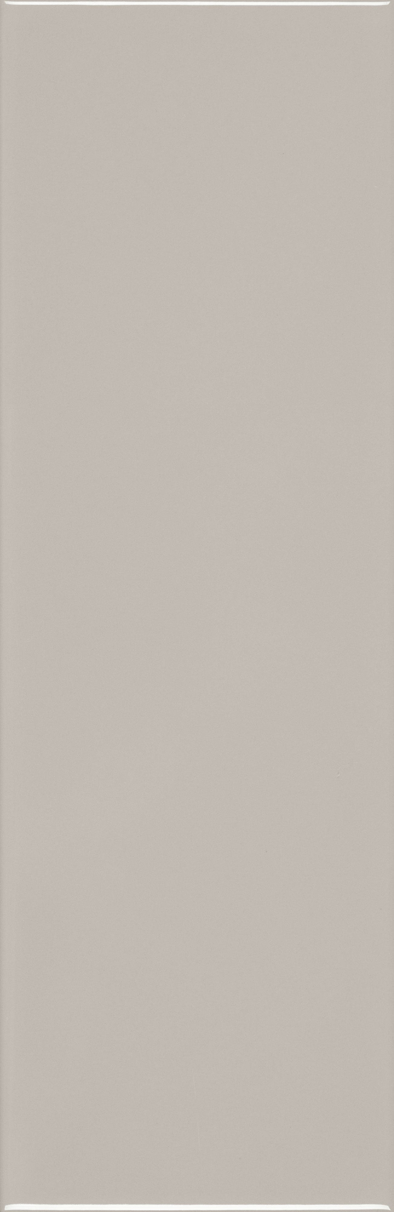 VANGUARD VISTA: Pavement Pathway Field Tile (4"x12"x7-mm | glossy | pressed)