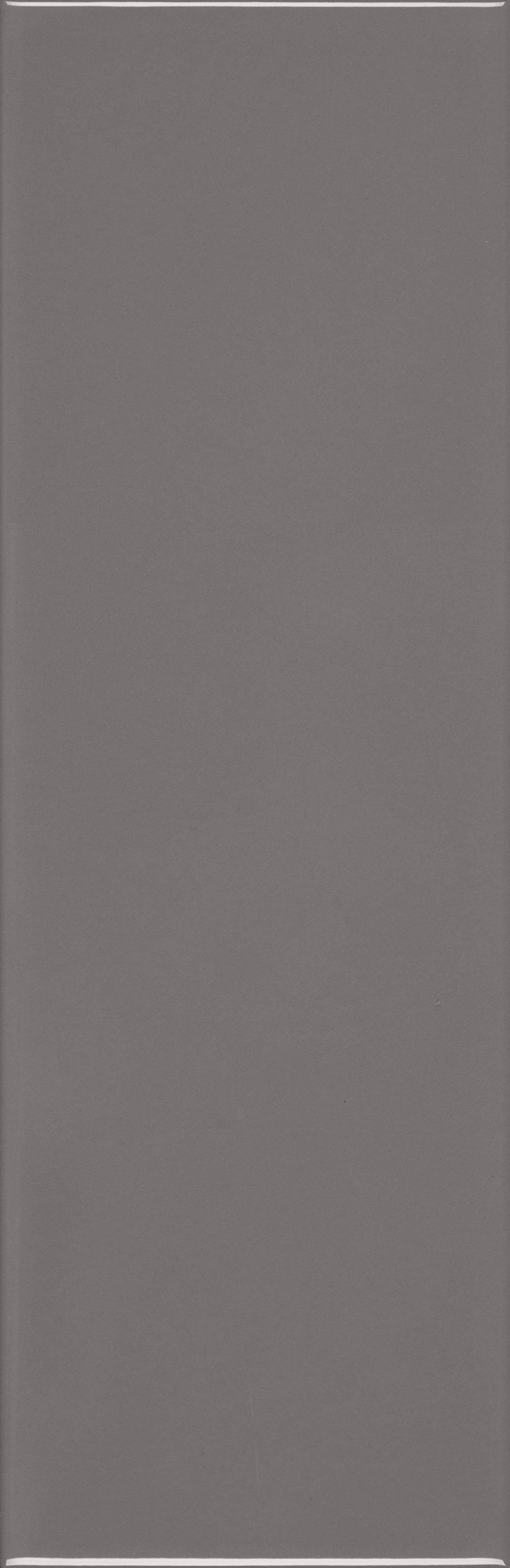 VANGUARD VISTA: Tempest Horizon Field Tile (4"x12"x7-mm | glossy | pressed)