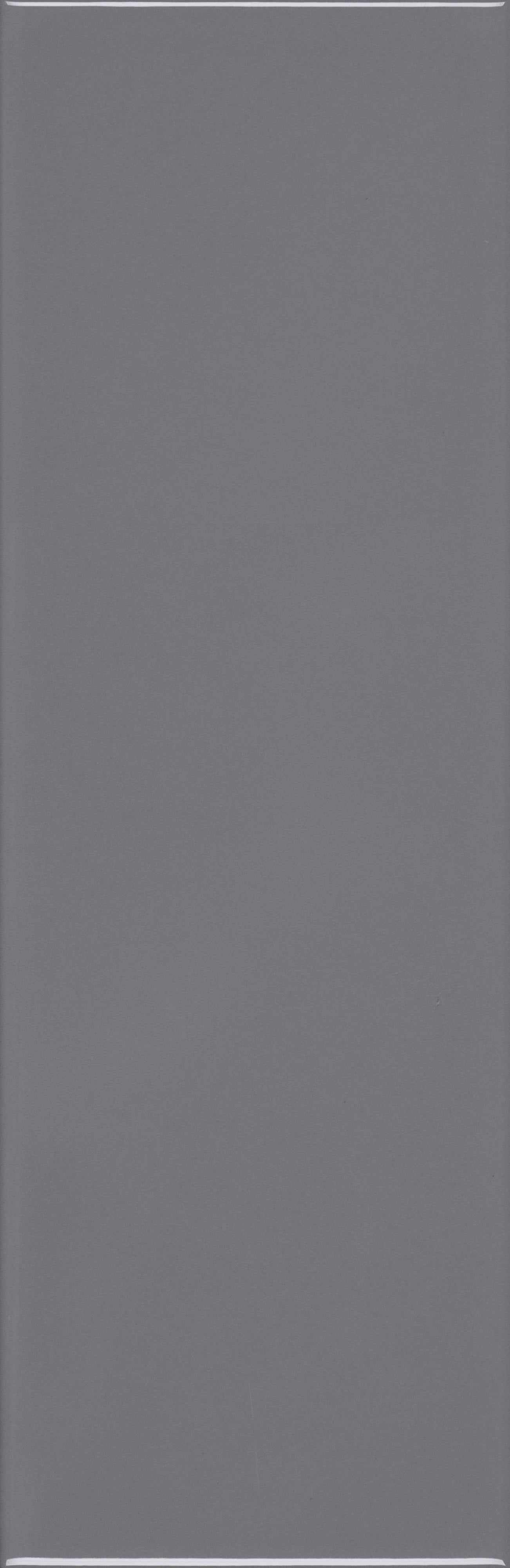 VANGUARD VISTA: Slate Vista Field Tile (4"x12"x7-mm | glossy | pressed)