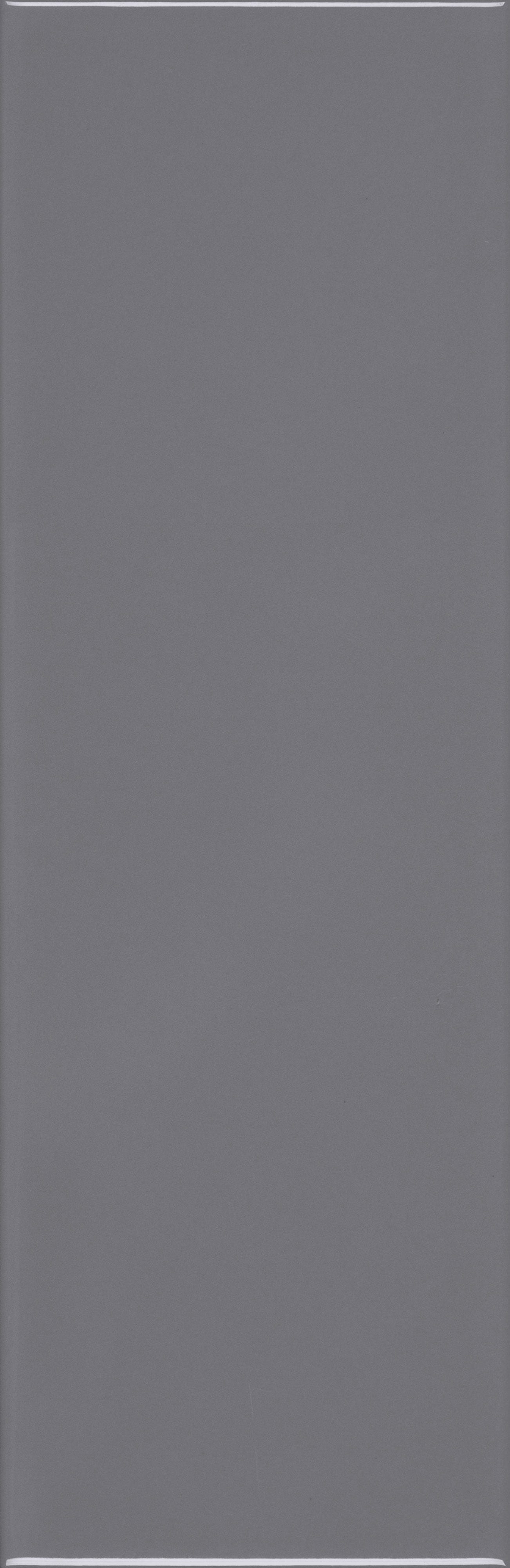 VANGUARD VISTA: Slate Vista Field Tile (4"x12"x7-mm | glossy | pressed)