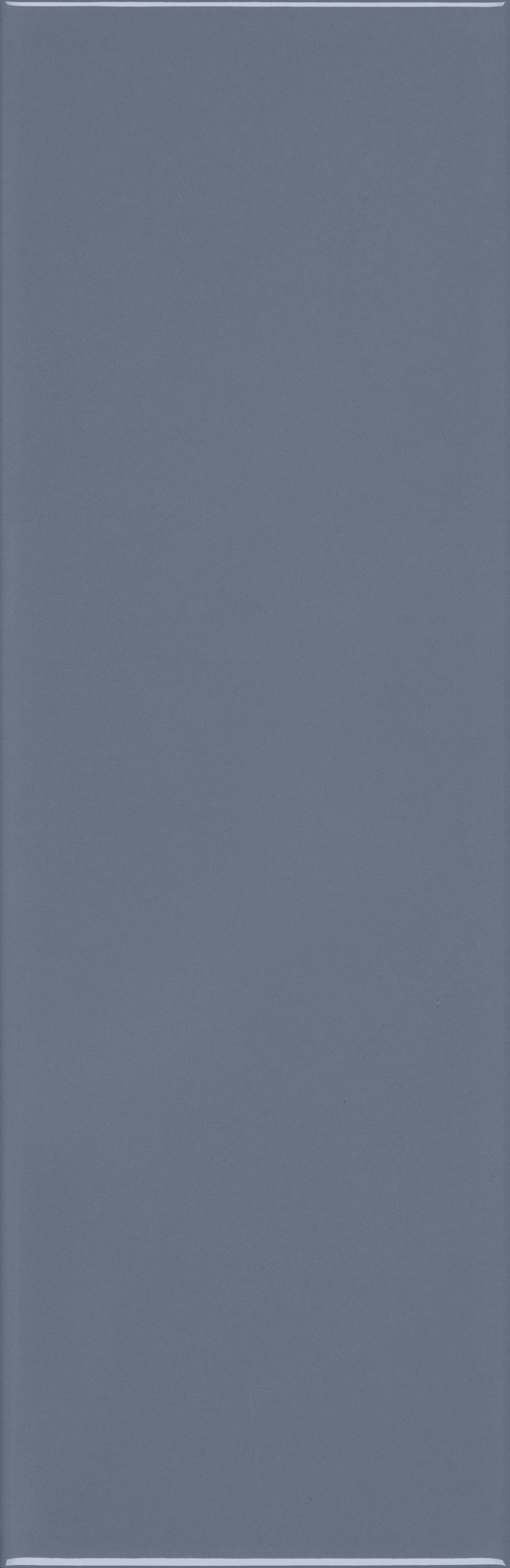 VANGUARD VISTA: Midnight Voyage Field Tile (4"x12"x7-mm | glossy | pressed)