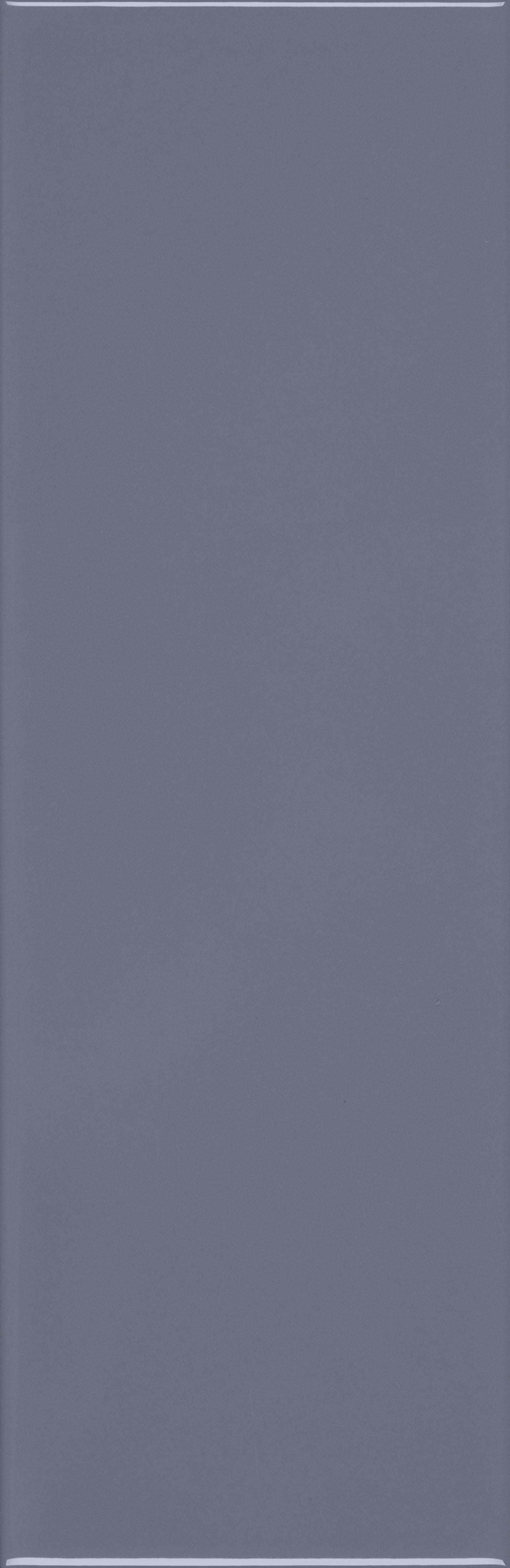 VANGUARD VISTA: Midnight Voyage Field Tile (4"x12"x7-mm | glossy | pressed)