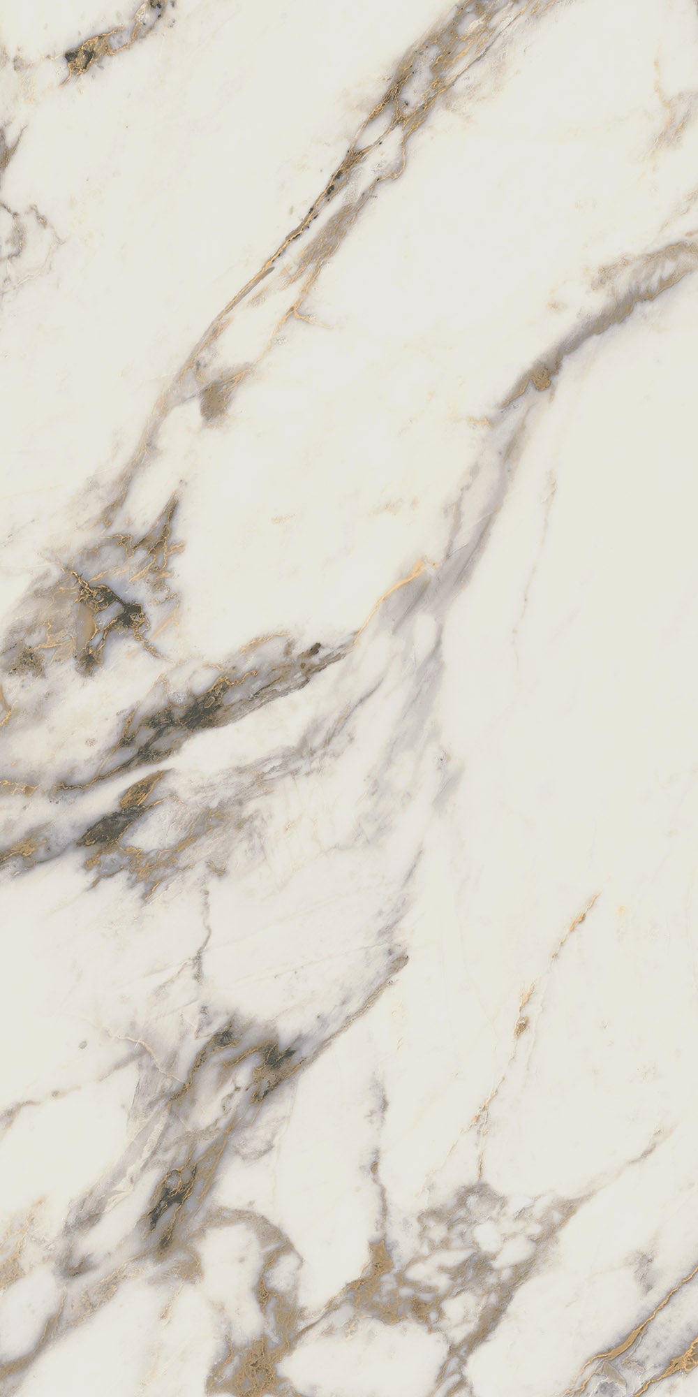 RENAISSANCE RESONANCE: Classic Fresco Field Tile (12"x24"x8-mm | polished | rectified)