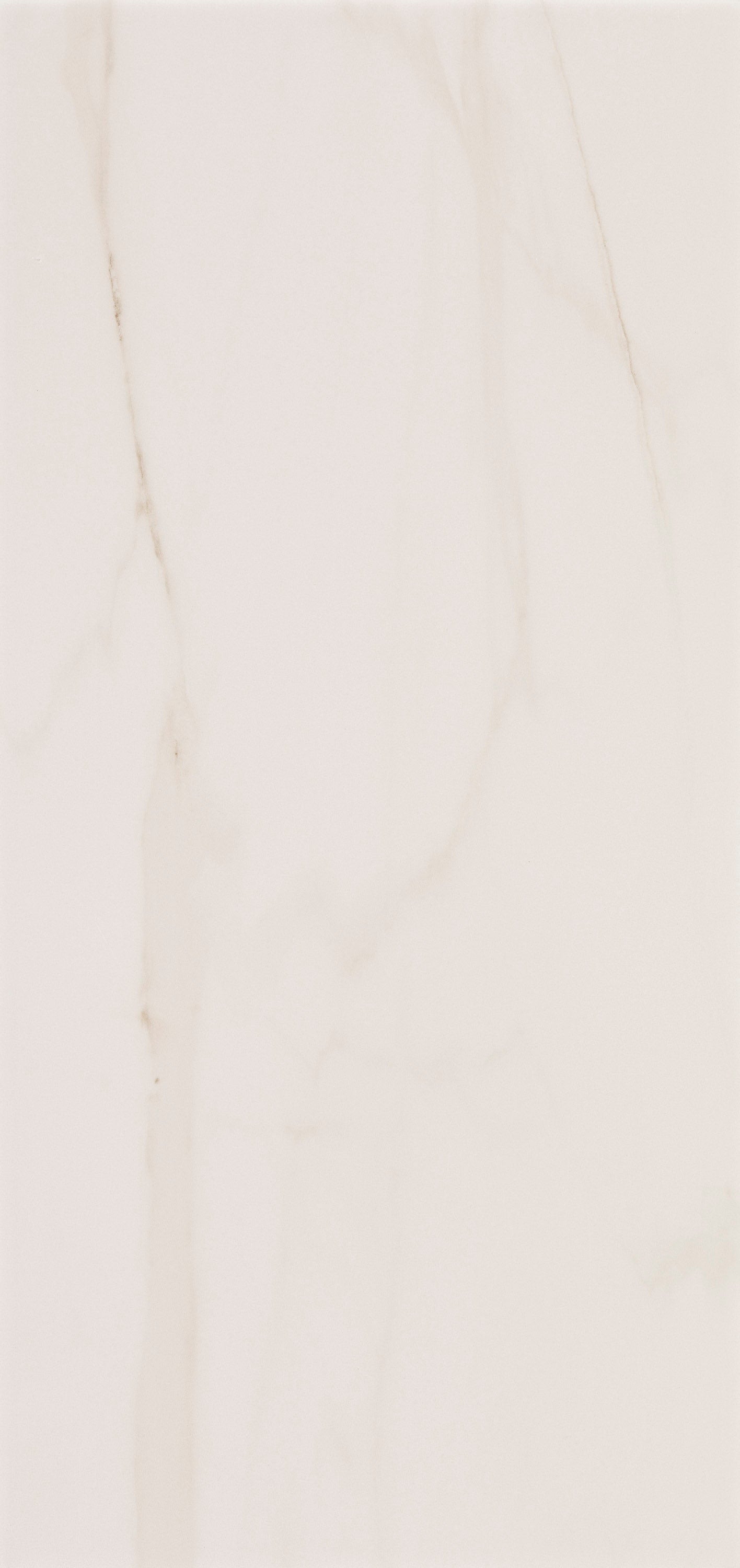 NORDIC REVERIE: Harbor Pearl Field Tile (24"x48"x8.5-mm | natural | rectified)