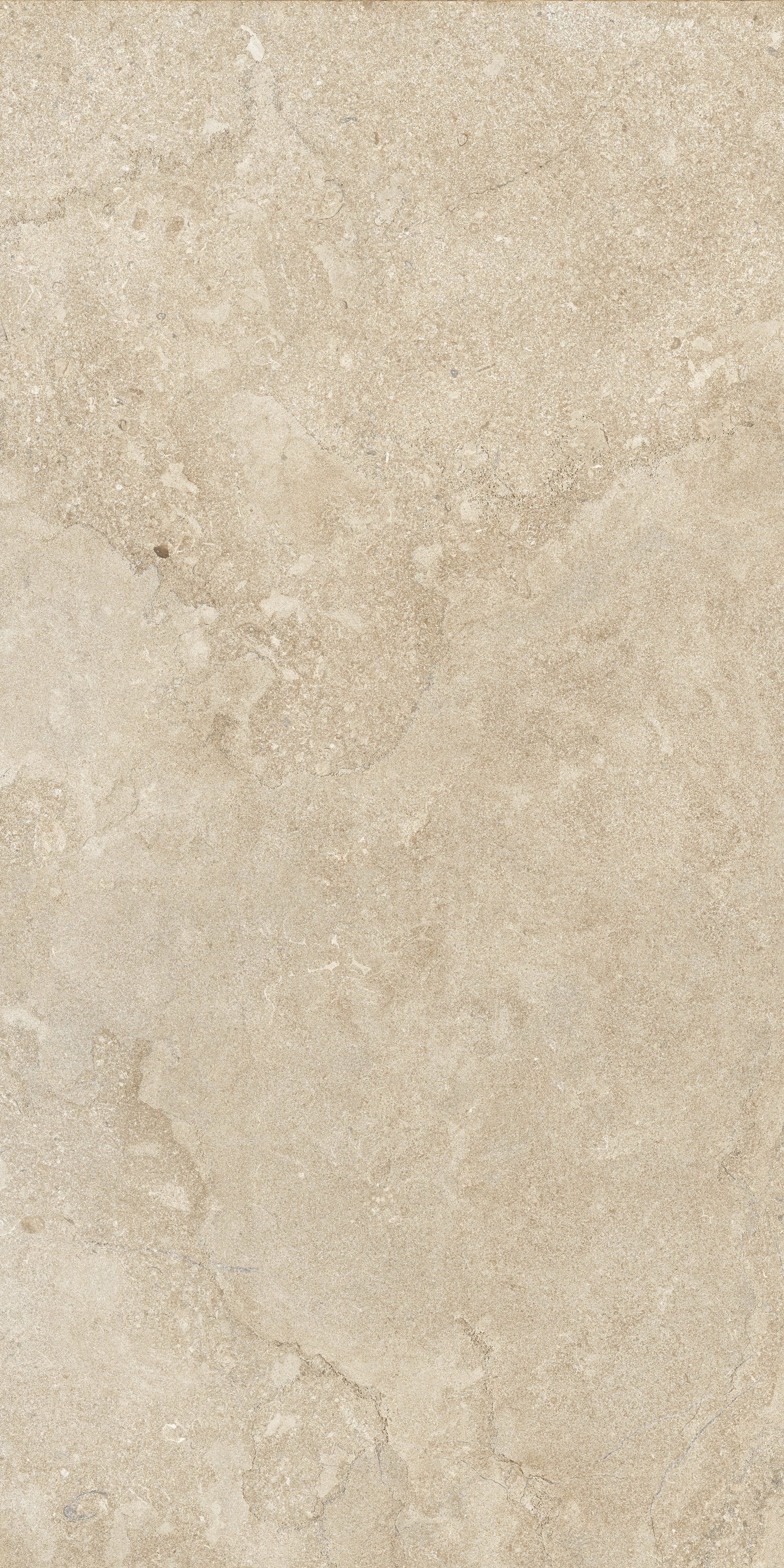 AURORA ELEGANCE: Sun-Kissed Sands Field Tile (24"x48"x8.5-mm | natural | rectified)