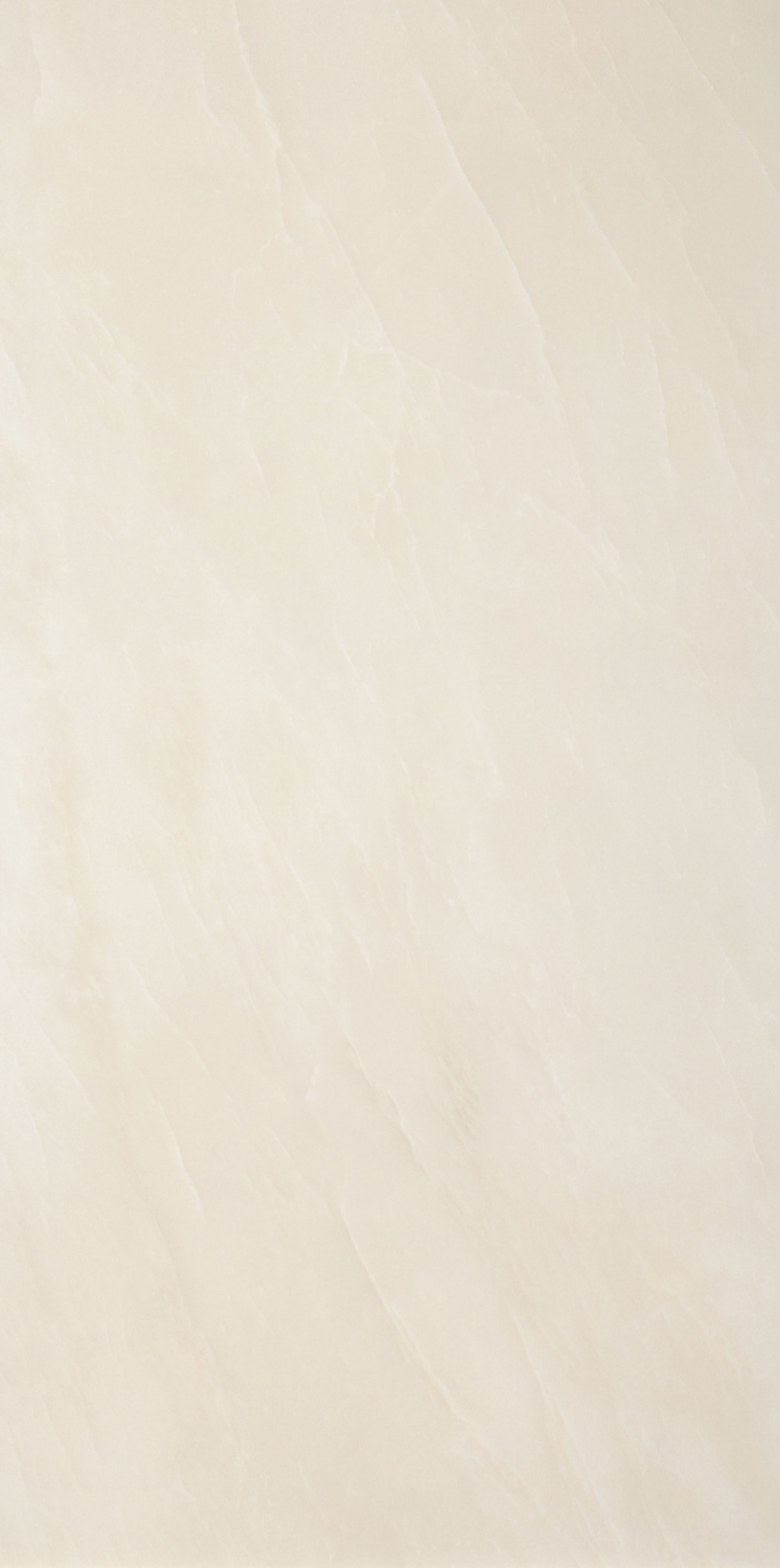 OBSIDIAN OPULENCE: Ebony Enigma Field Tile (24"x48"x8.5-mm | polished | rectified)