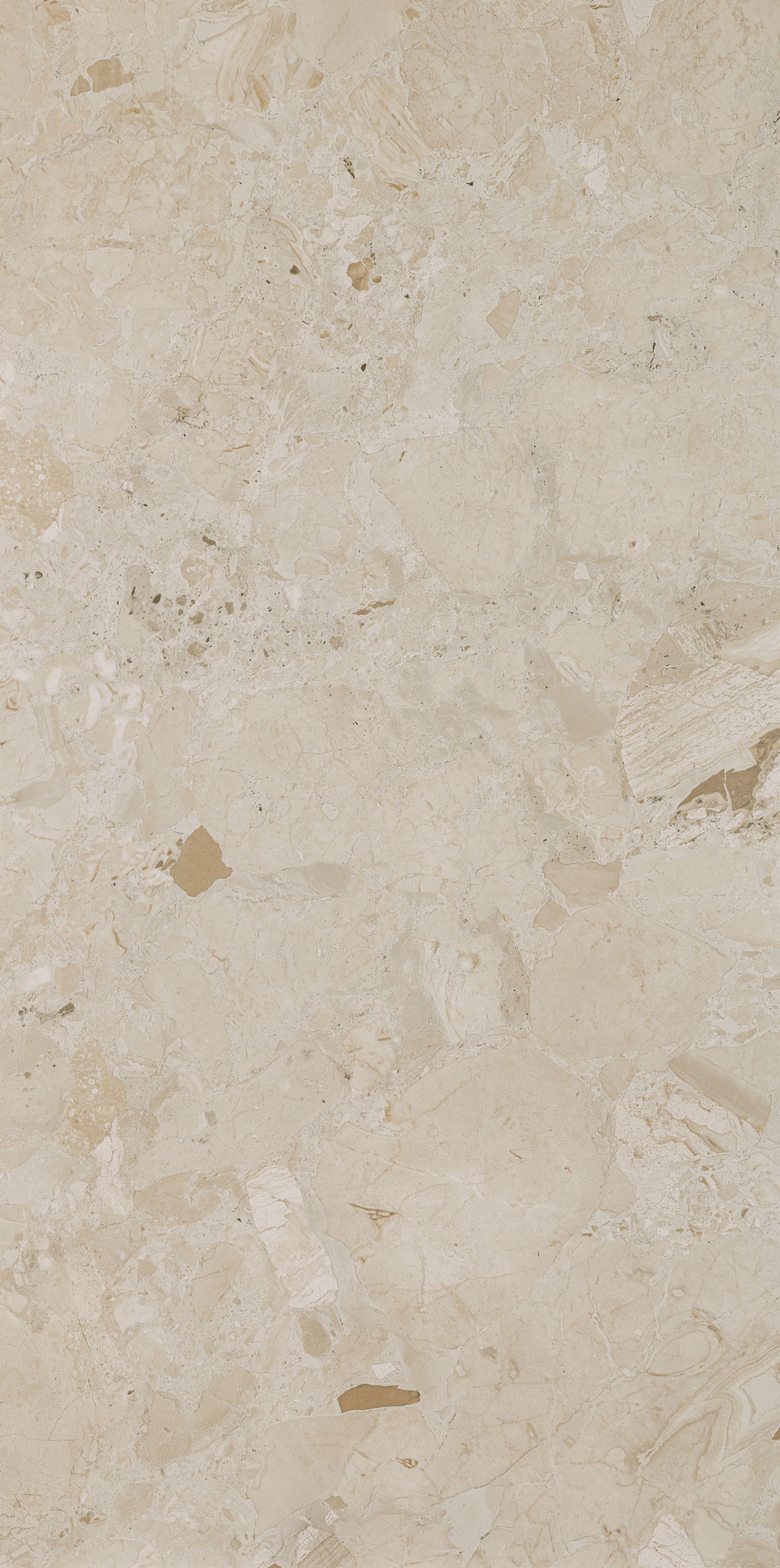 STONEWORK SONATA: Mocha Minuet Field Tile (24"x48"x8.5-mm | natural | rectified)