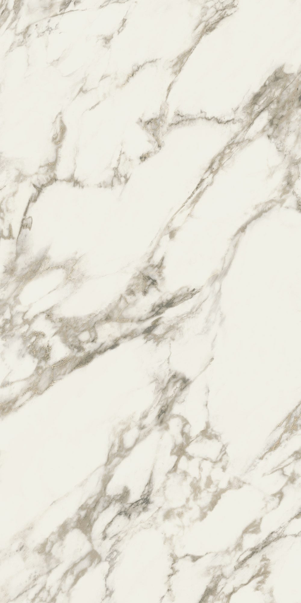 RENAISSANCE RESONANCE: Classic Fresco Field Tile (24"x48"x8.5-mm | natural | rectified)
