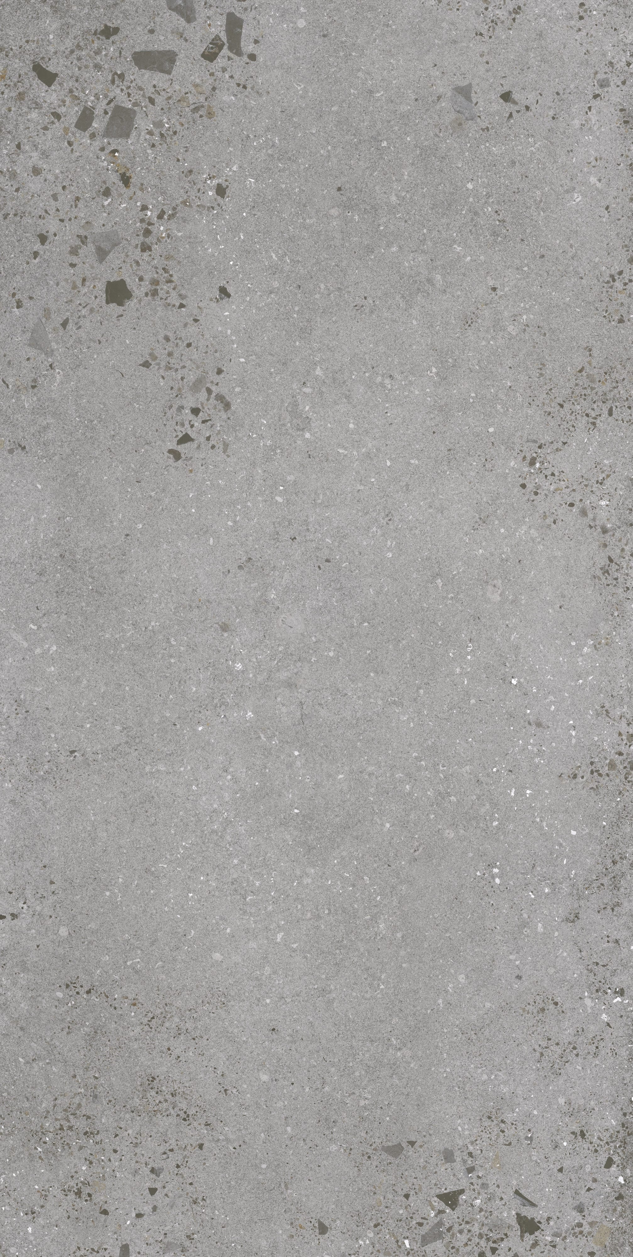 ETHEREAL ELEMENTS: Silver Serenity Field Tile (24"x48"x8.5-mm | natural | rectified)