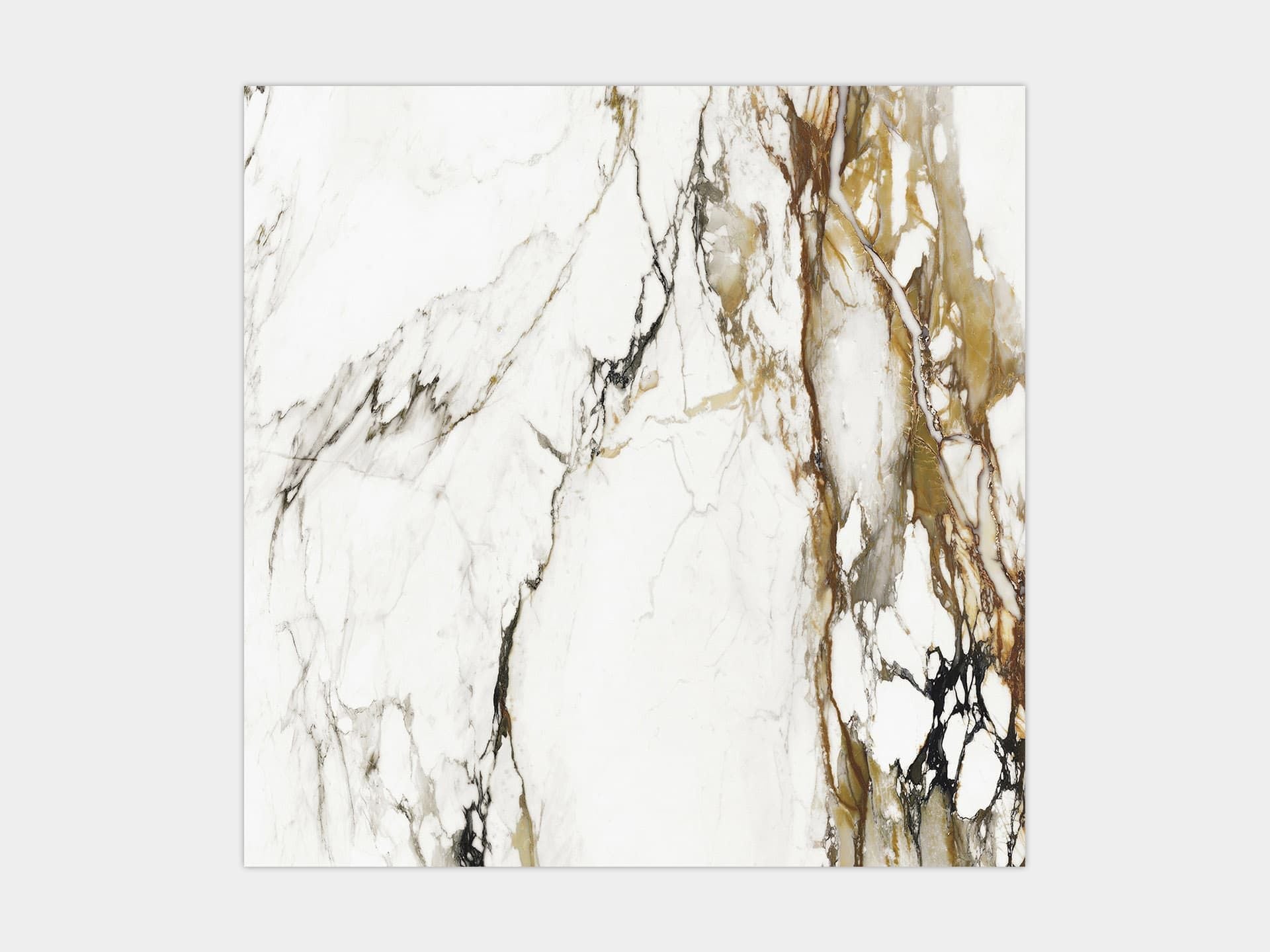 Paonazzo Biondo Floor Tile (47x47x6-mm | polished)