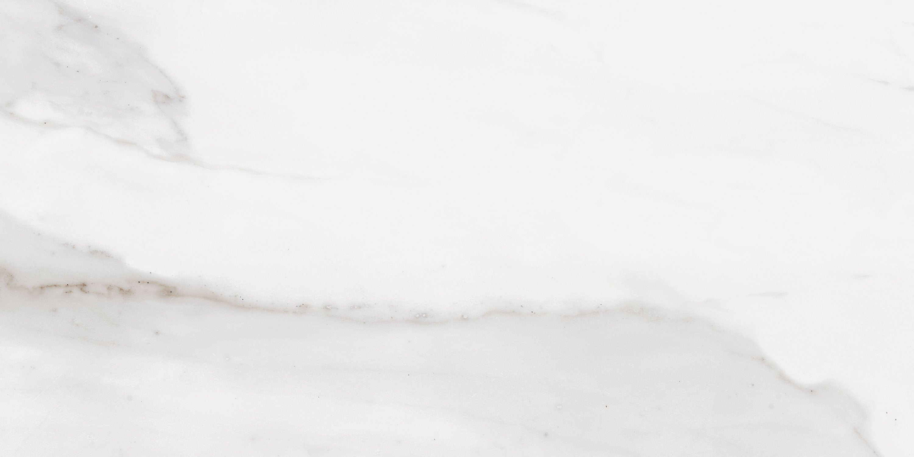 TUSCANY White porcelain field tile, top-down product view, 12"×24"×5/16" size. Premium porcelain for floors and walls.